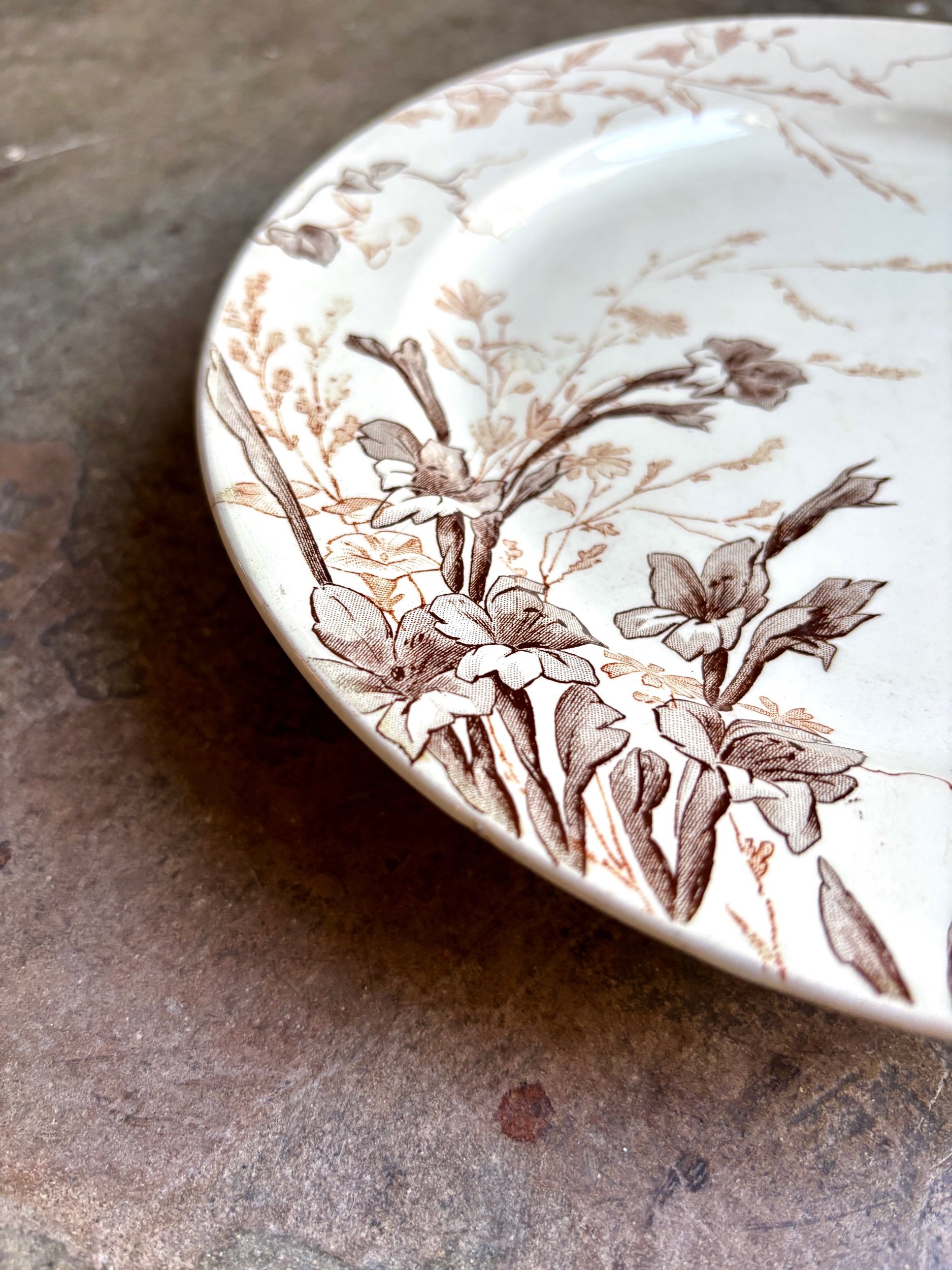 assiette-gateau-creil-montereau-glaieul-vintage-axs-design-paris-france