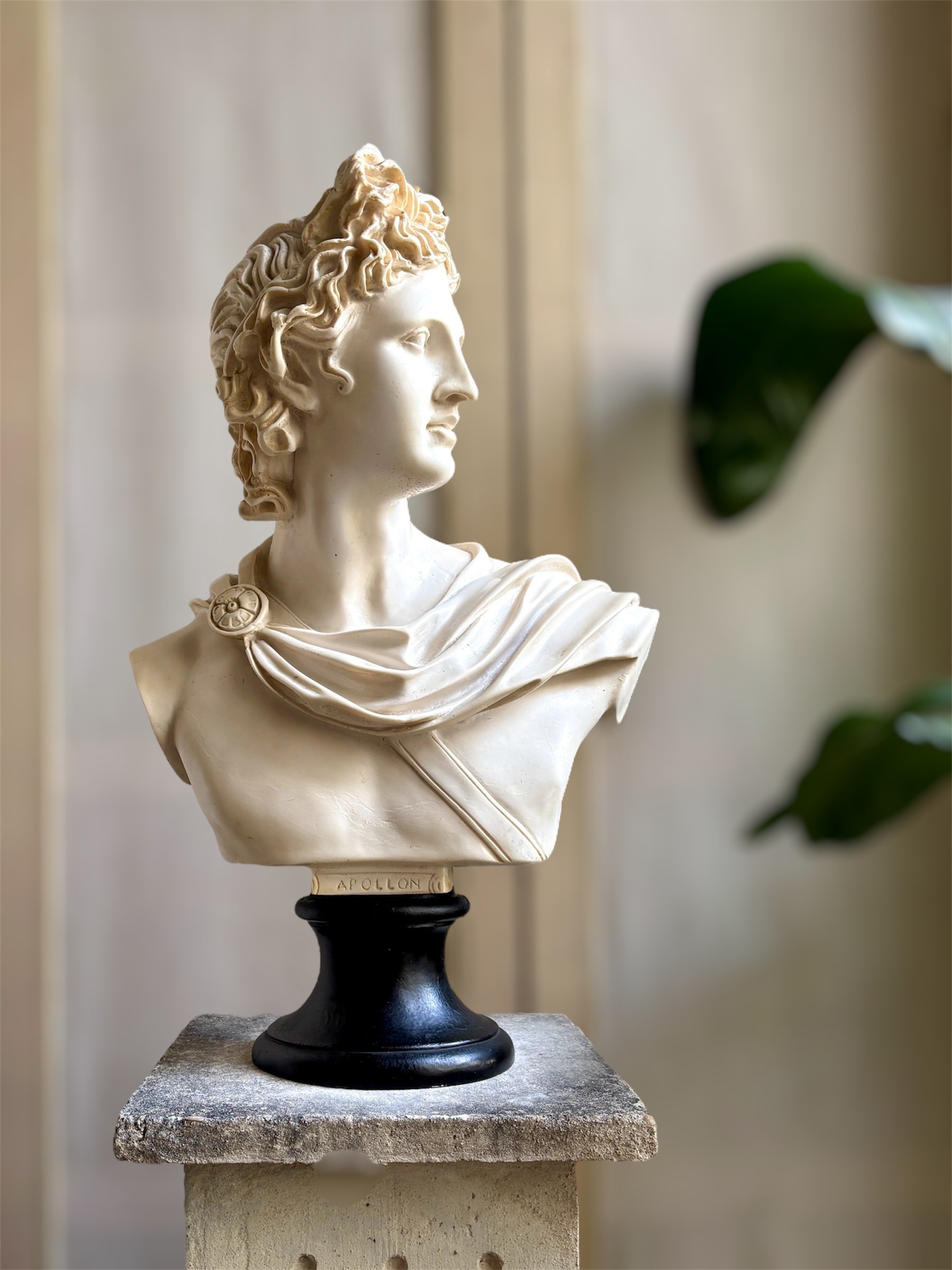 Buste d’Apollon beige sur piédouche noir