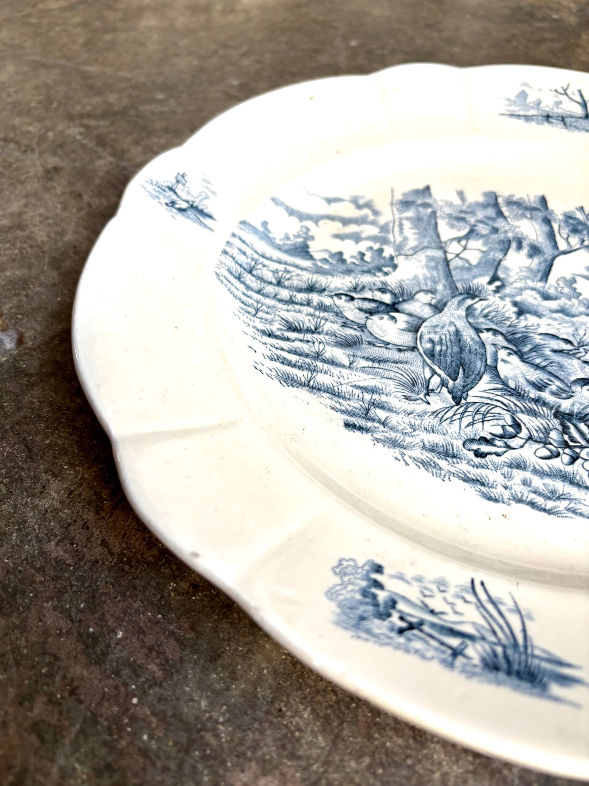 plat-rond-2-longchamp-bourgogne-terre-de-fer-blanc-bleu-vaisselle-vintage-axs-design-paris-france