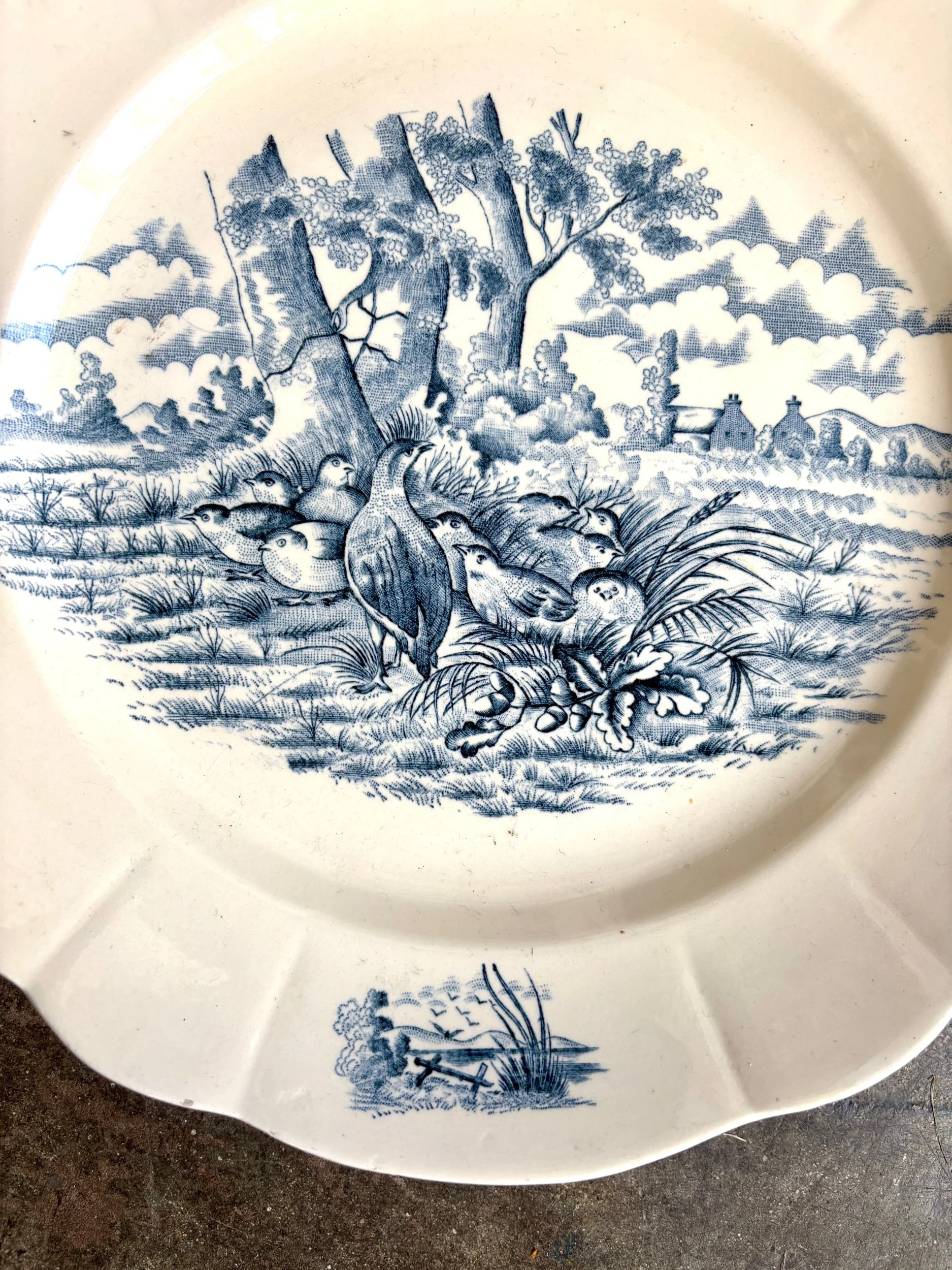 plat-rond-2-longchamp-bourgogne-terre-de-fer-blanc-bleu-vaisselle-vintage-axs-design-paris-france