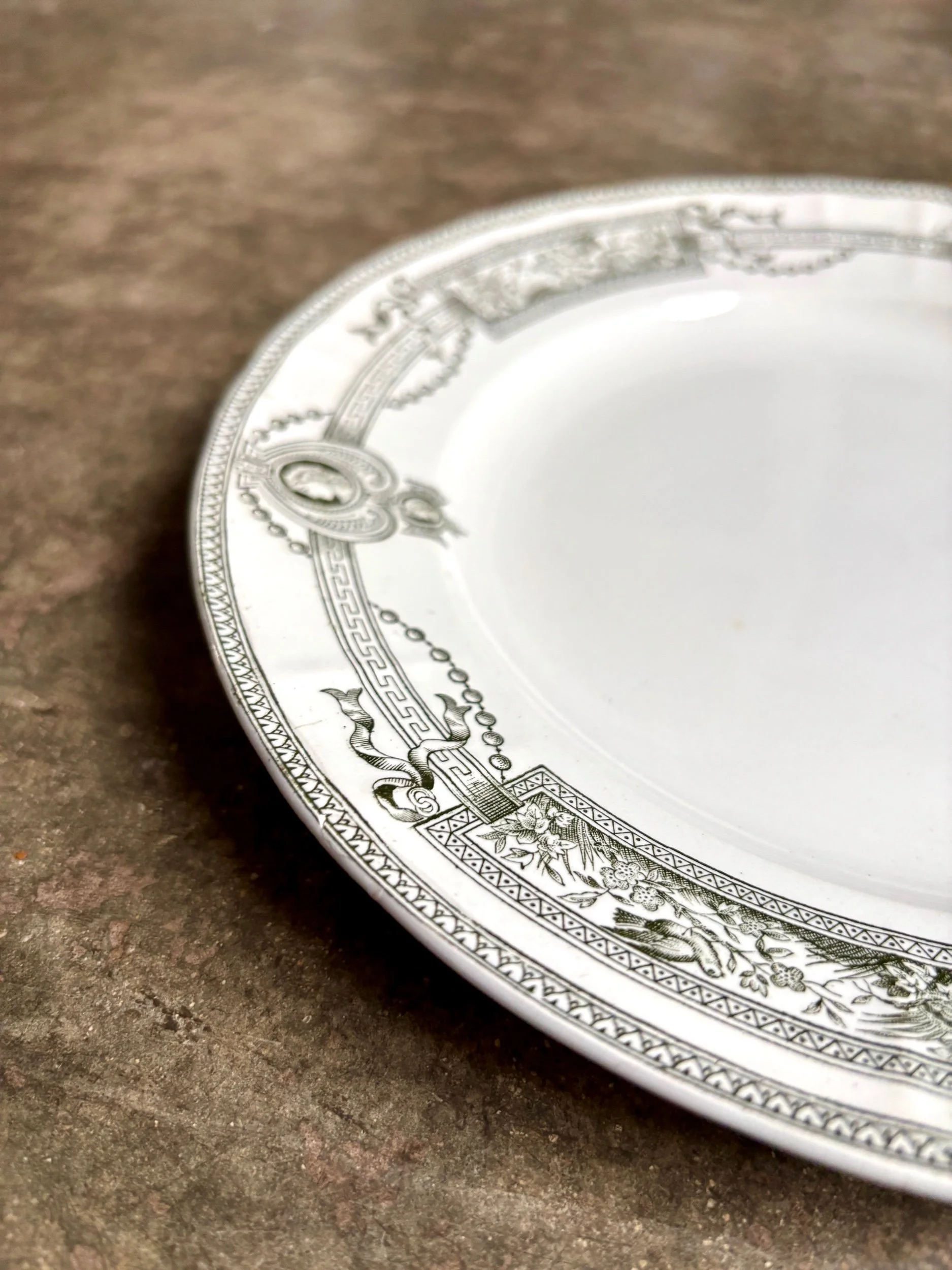 assiette-plate-terre-de-fer-st-amand-hamage-medaillon-blanc-vert-vaisselle-vintage-axs-design-paris-france