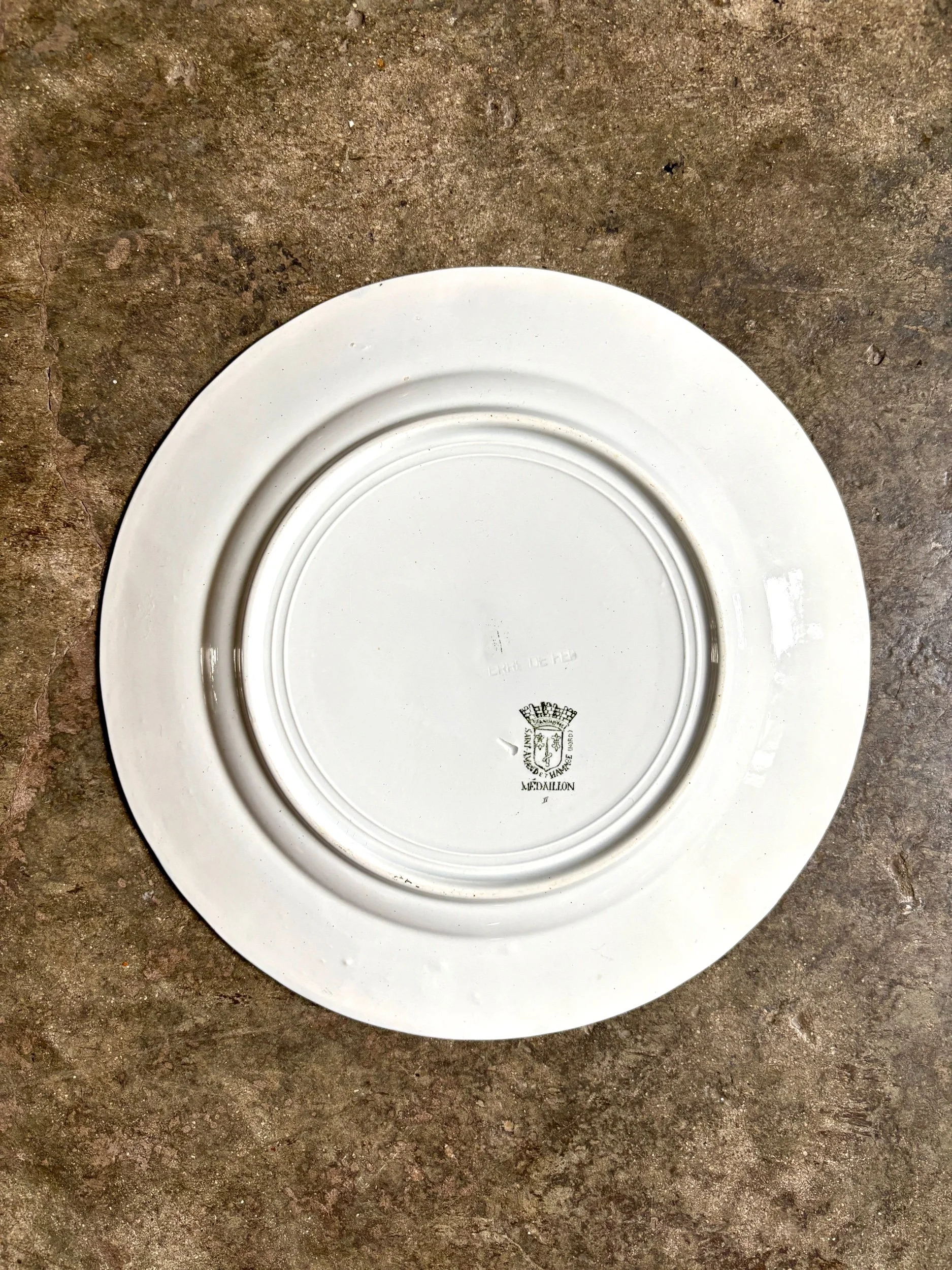 assiette-plate-terre-de-fer-st-amand-hamage-medaillon-blanc-vert-vaisselle-vintage-axs-design-paris-france