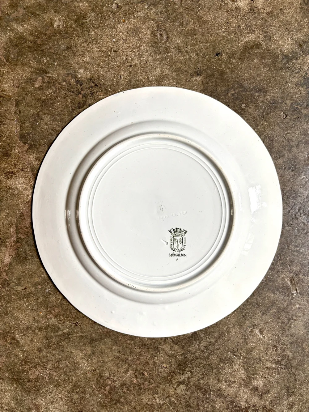 Assiette plate en terre de fer St Amand et Hamage, service