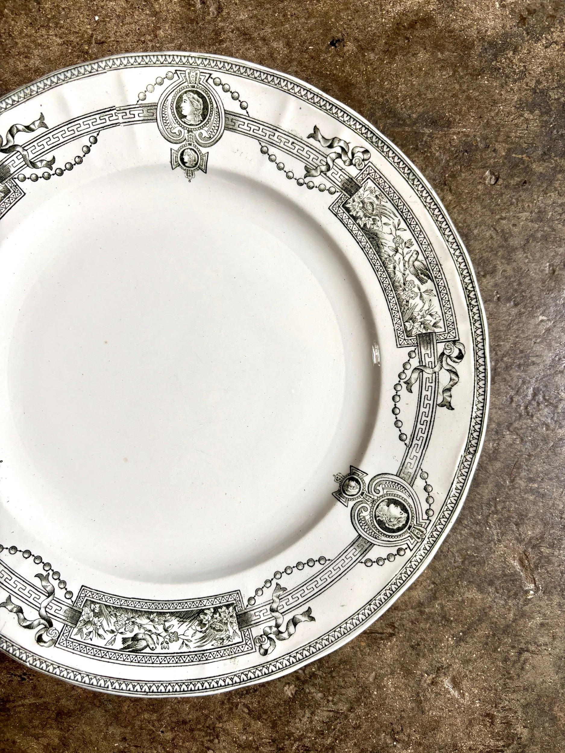 assiette-plate-terre-de-fer-st-amand-hamage-medaillon-blanc-vert-vaisselle-vintage-axs-design-paris-france