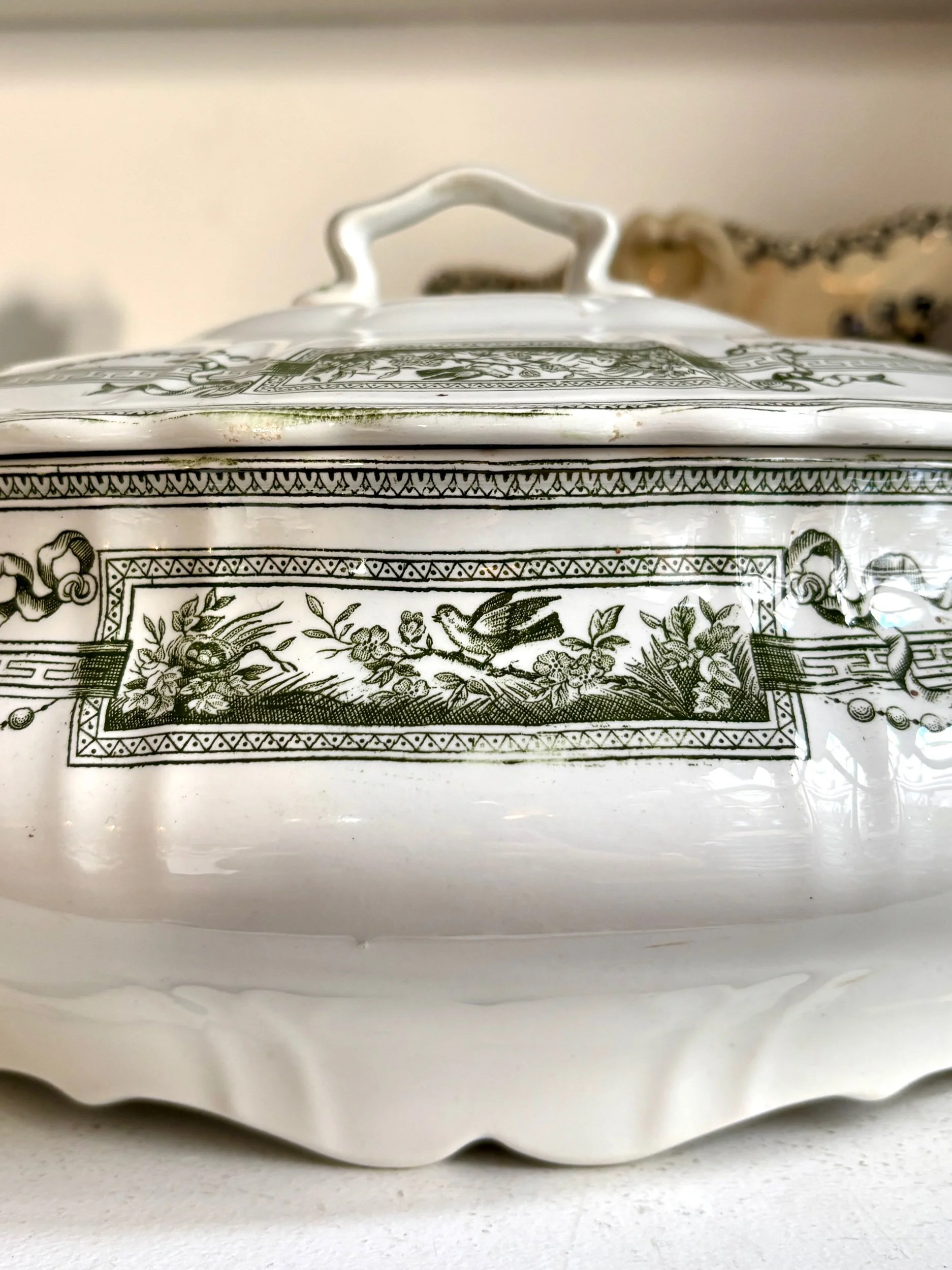 grande-soupiere-terre-de-fer-st-amand-hamage-medaillon-blanc-vert-vaisselle-vintage-axs-design-paris-france