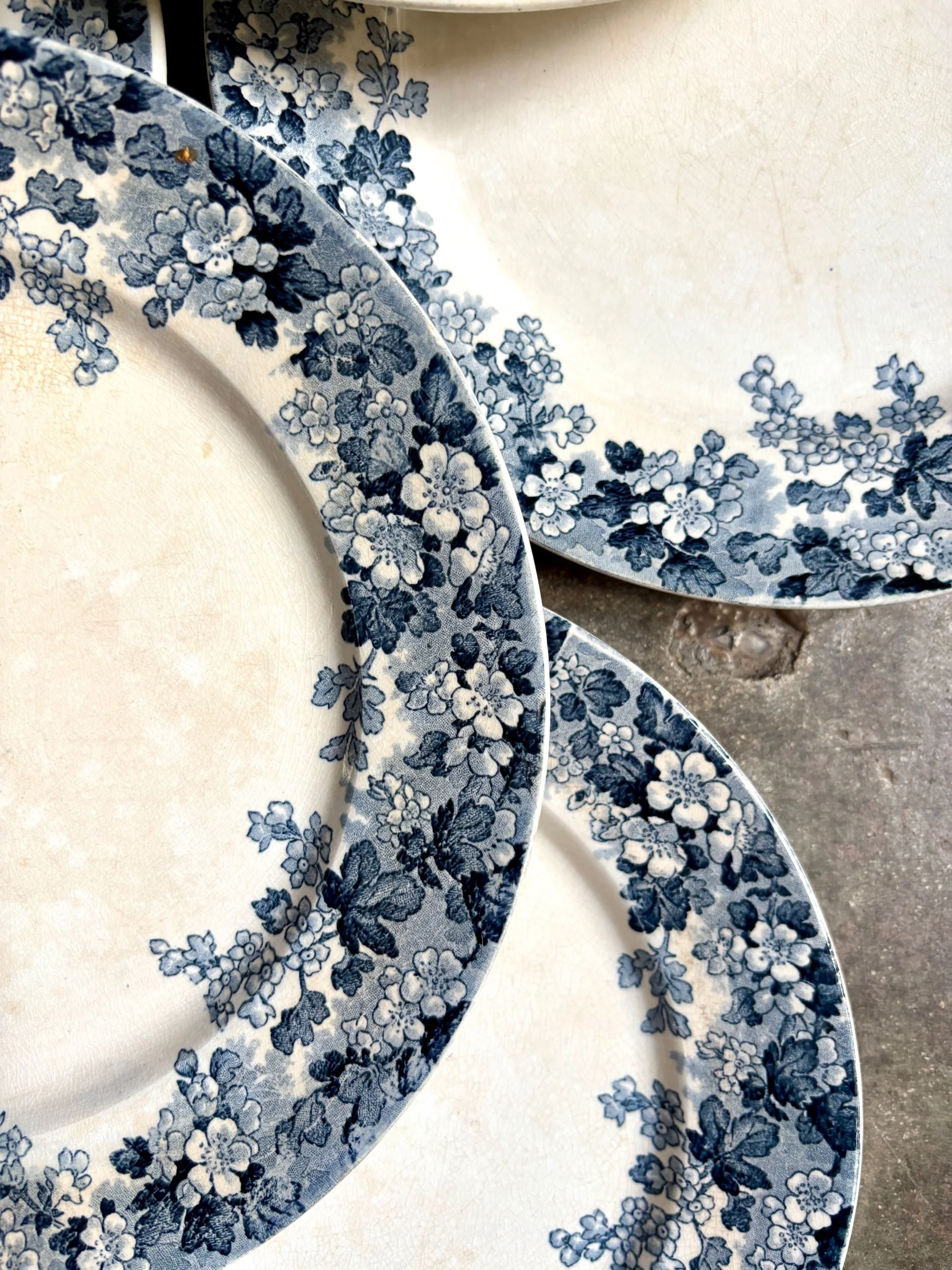 assiettes-plates-sarreguemines-recamier-terre-fer-bleu-vaisselle-vintage-axs-design-paris-france
