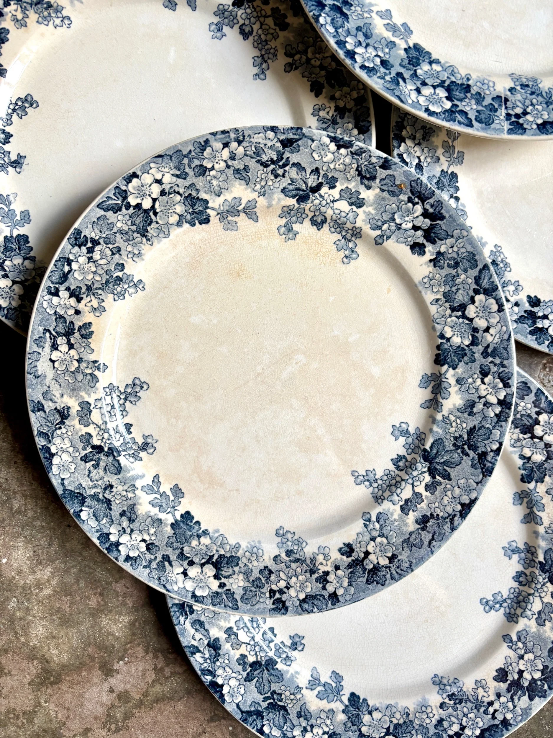 assiettes-plates-sarreguemines-recamier-terre-fer-bleu-vaisselle-vintage-axs-design-paris-france