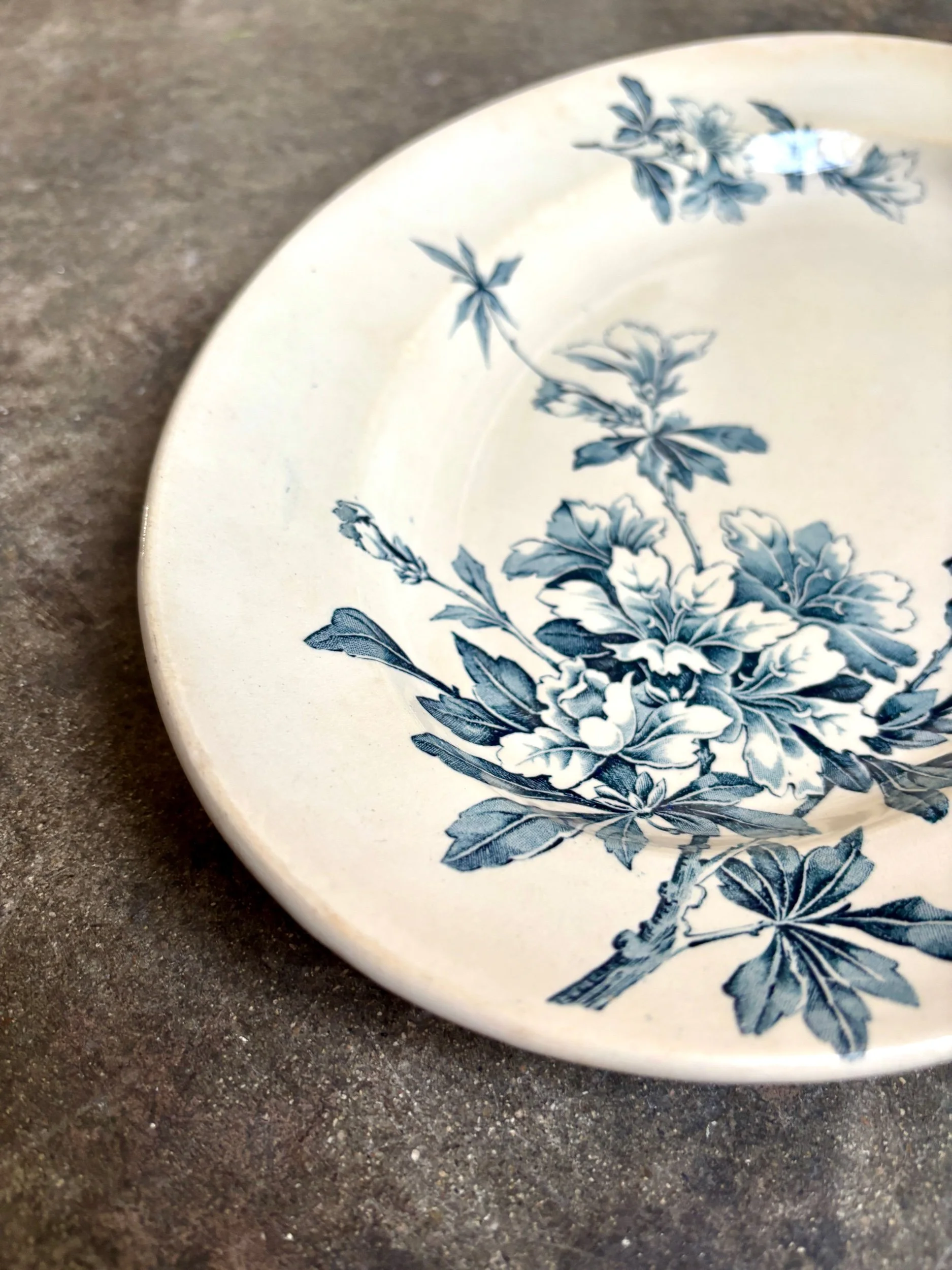 petit-plat-ovale-terre-de-fer-azalea-blanc-bleu-luneville-vaisselle-vintage-axs-design-paris-france