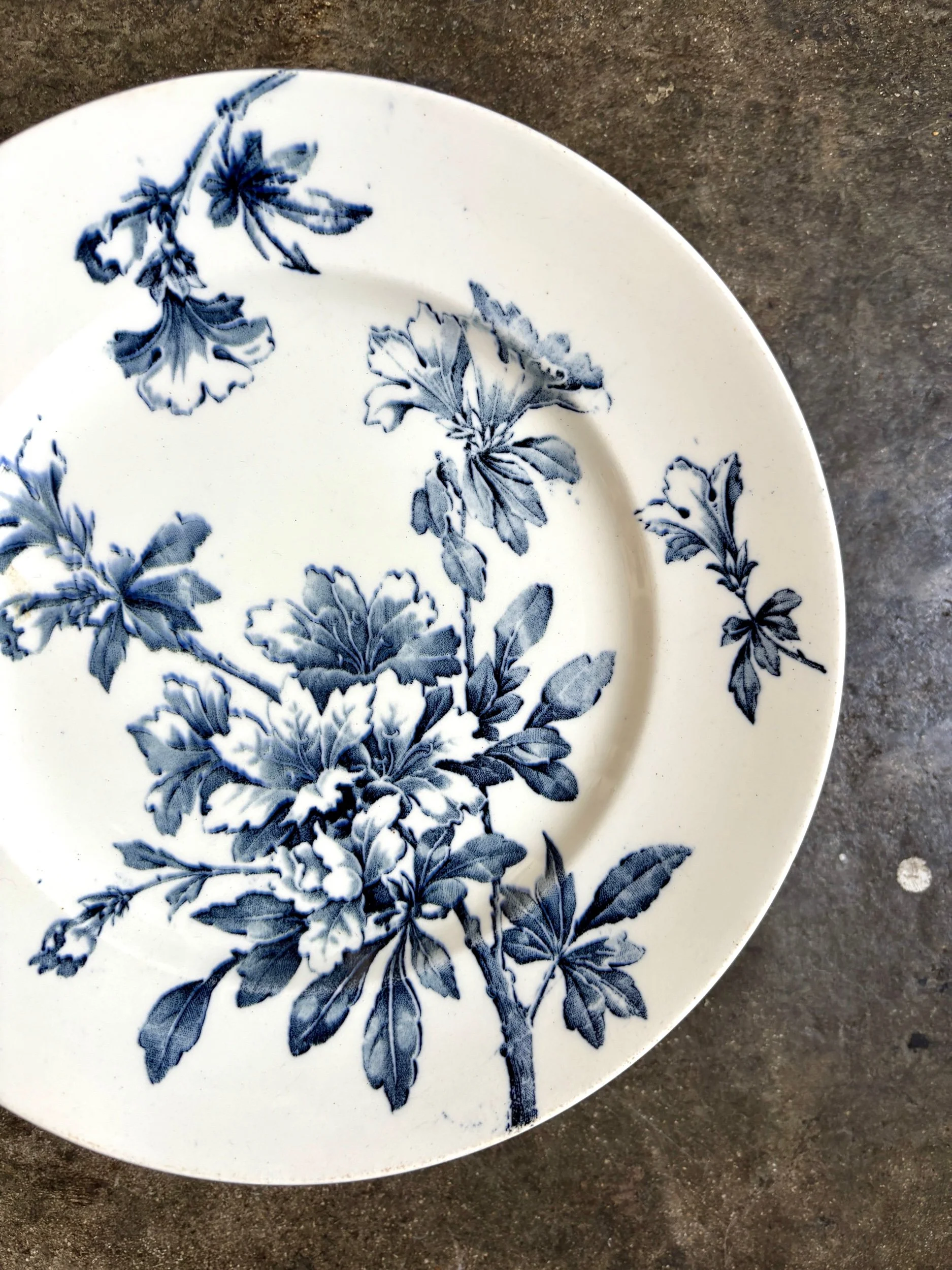 assiette-gateau-terre-de-fer-azalea-blanc-bleu-luneville-vaisselle-vintage-axs-design-paris-france
