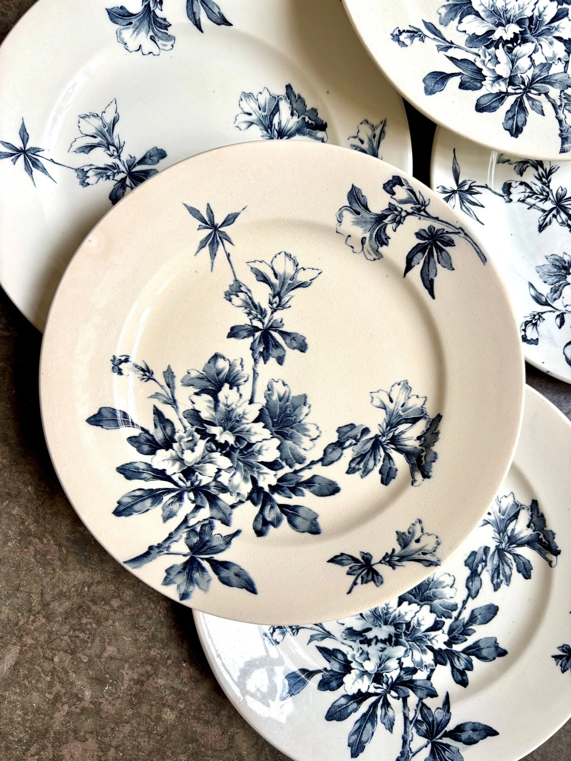 6-assiettes-plates-terre-de-fer-azalea-blanc-bleu-luneville-vaisselle-vintage-axs-design-paris-france
