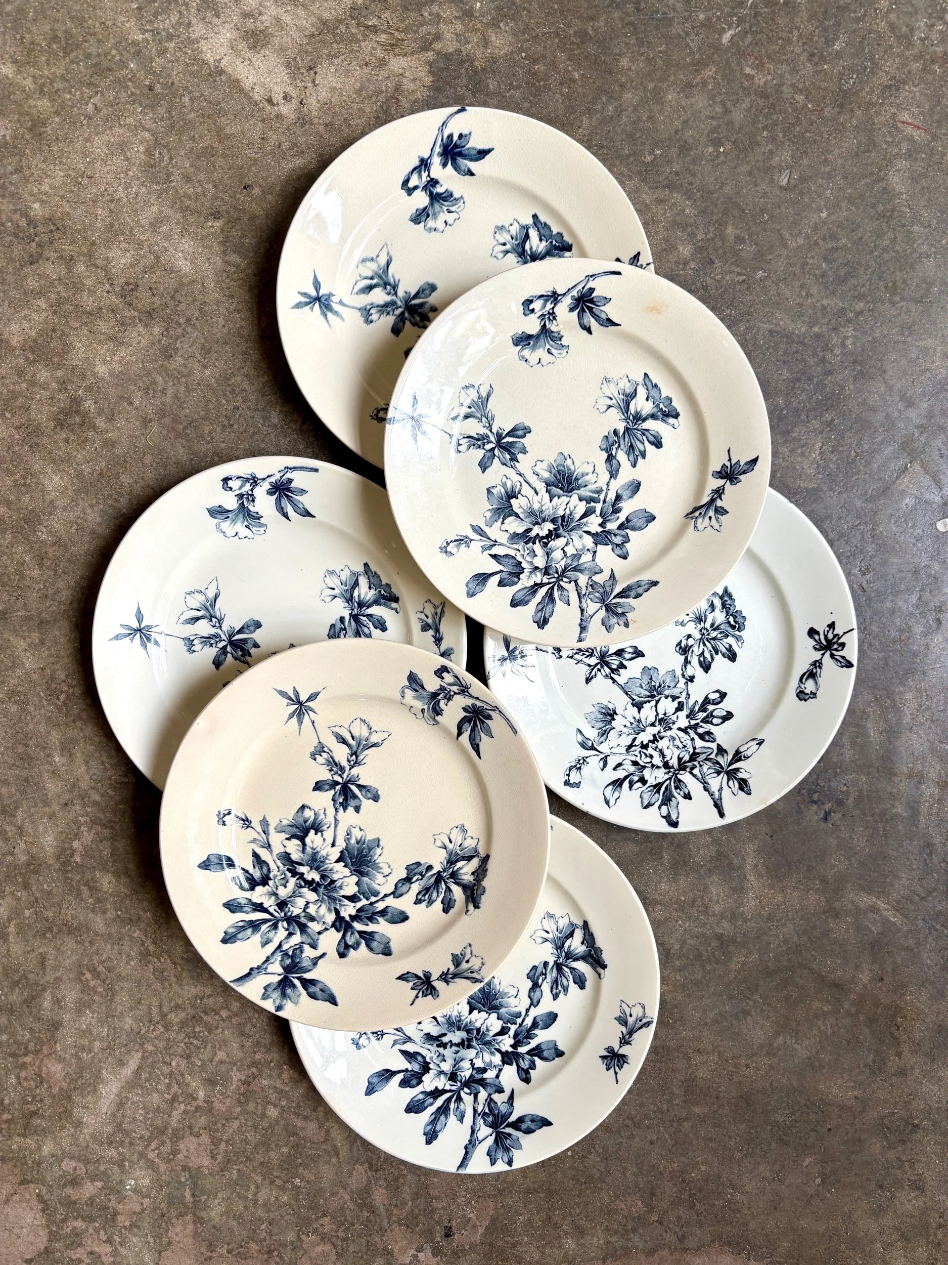 6-assiettes-plates-terre-de-fer-azalea-blanc-bleu-luneville-vaisselle-vintage-axs-design-paris-france