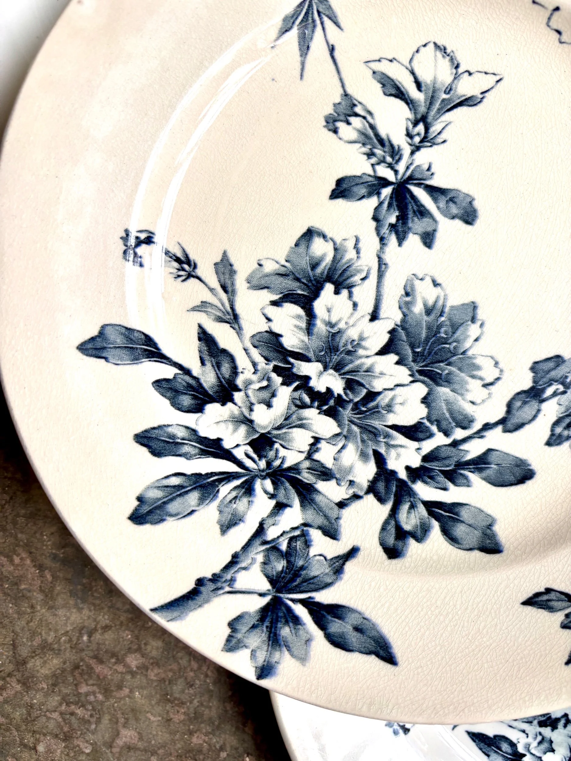 6-assiettes-plates-terre-de-fer-azalea-blanc-bleu-luneville-vaisselle-vintage-axs-design-paris-france