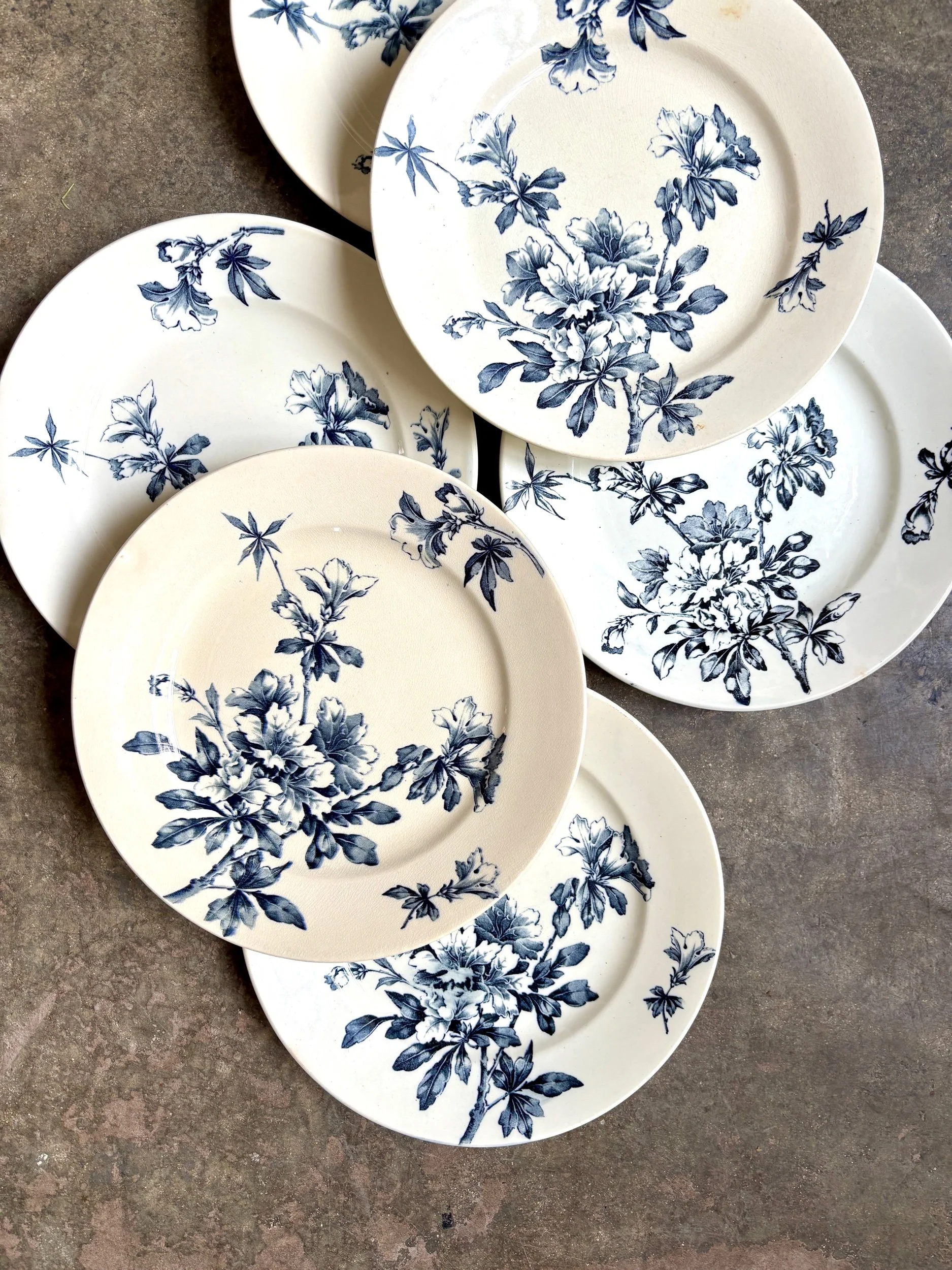 6-assiettes-plates-terre-de-fer-azalea-blanc-bleu-luneville-vaisselle-vintage-axs-design-paris-france