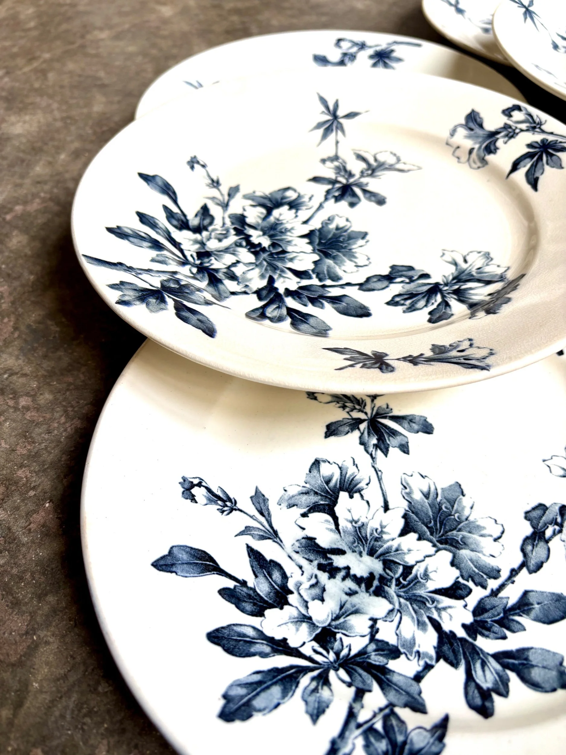 6-assiettes-plates-terre-de-fer-azalea-blanc-bleu-luneville-vaisselle-vintage-axs-design-paris-france