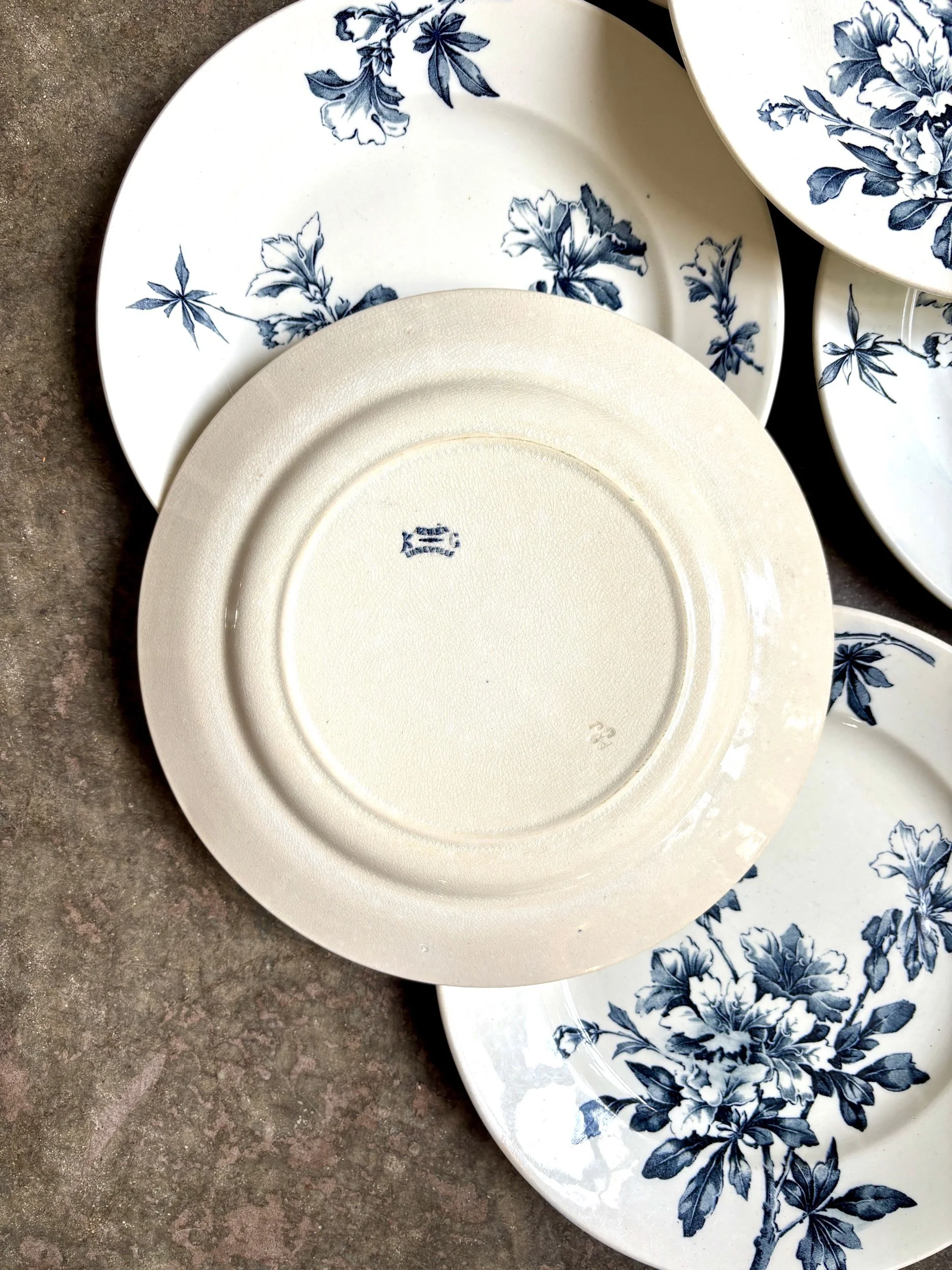 6-assiettes-plates-terre-de-fer-azalea-blanc-bleu-luneville-vaisselle-vintage-axs-design-paris-france