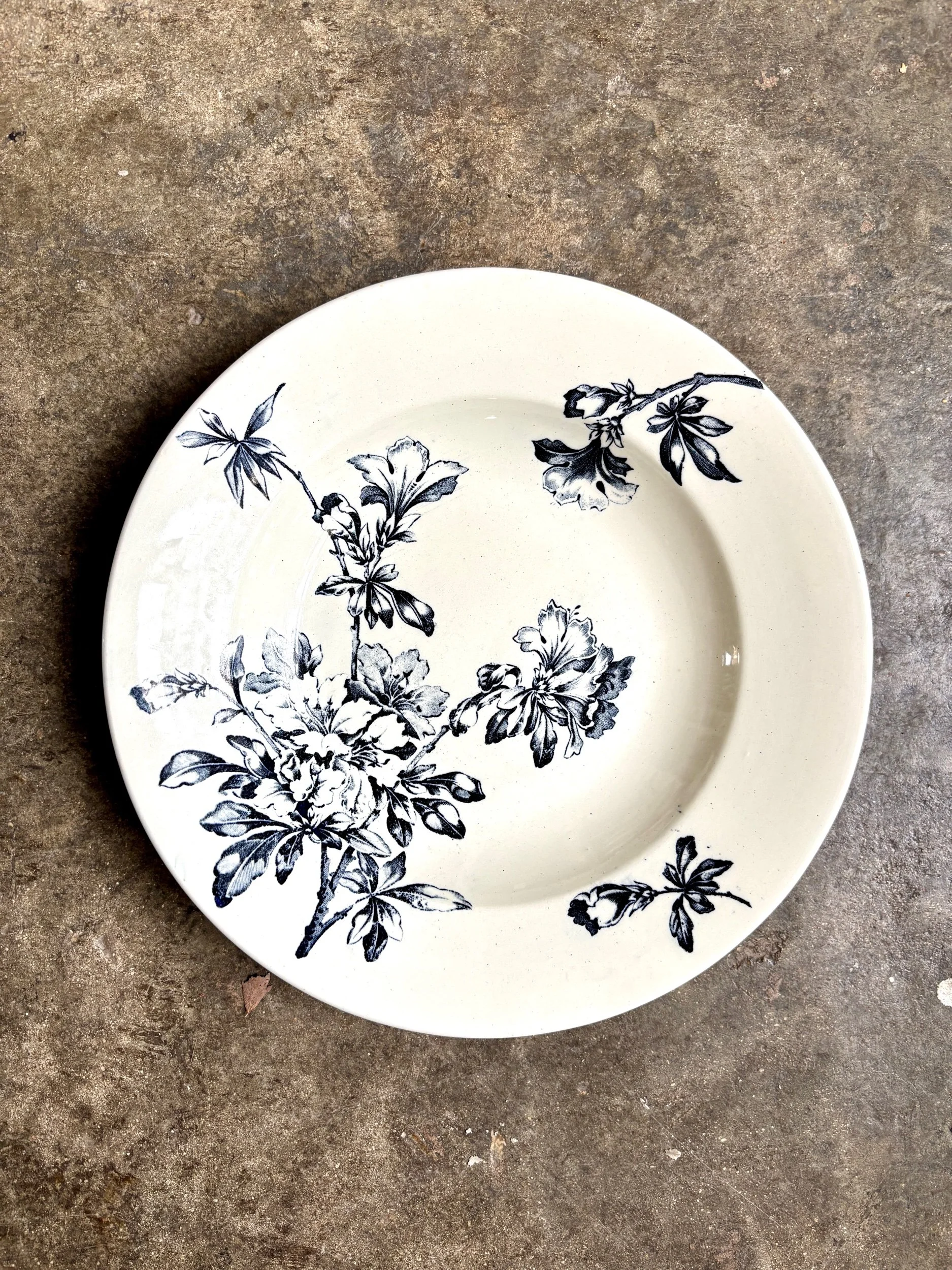 assiette-creuse-terre-de-fer-azalea-blanc-bleu-luneville-vaisselle-vintage-axs-design-paris-france