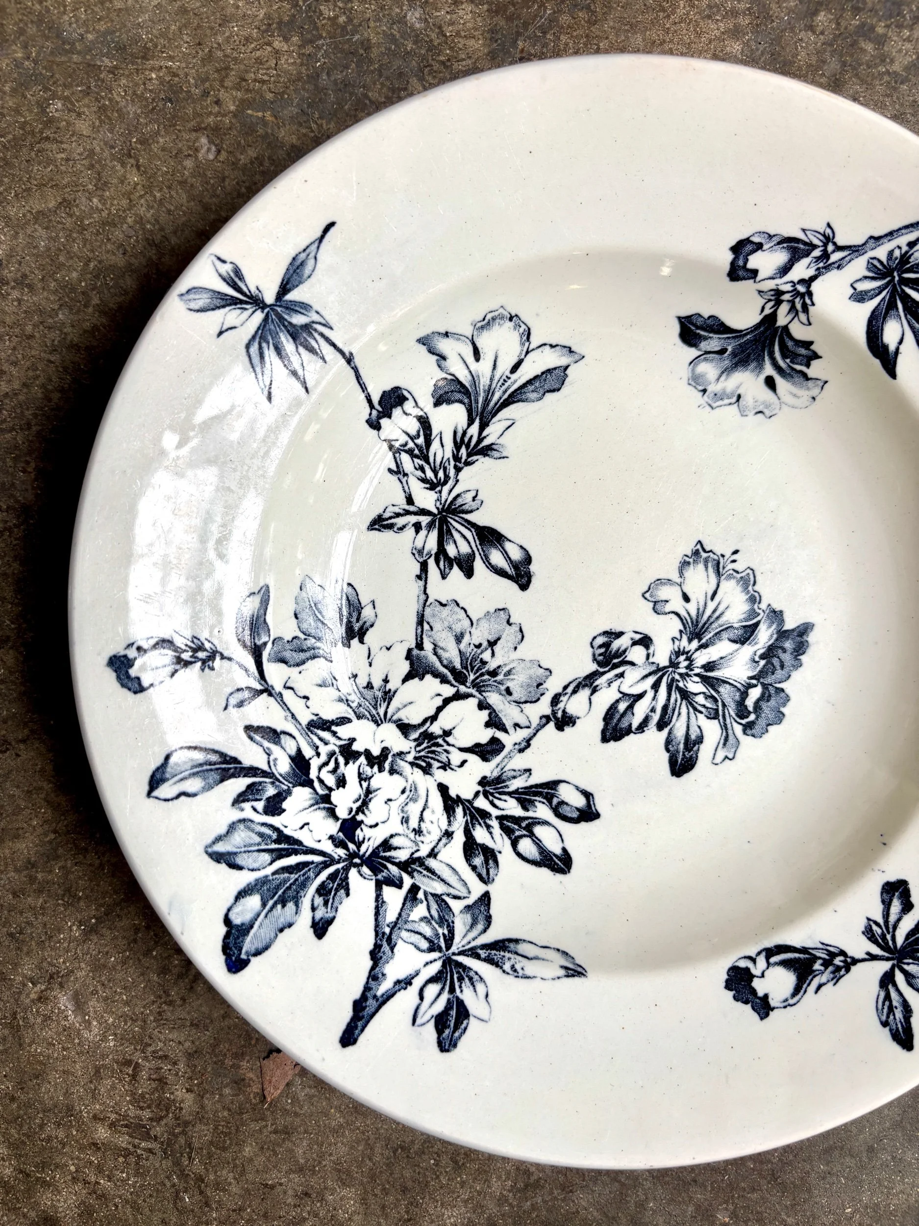 assiette-creuse-terre-de-fer-azalea-blanc-bleu-luneville-vaisselle-vintage-axs-design-paris-france