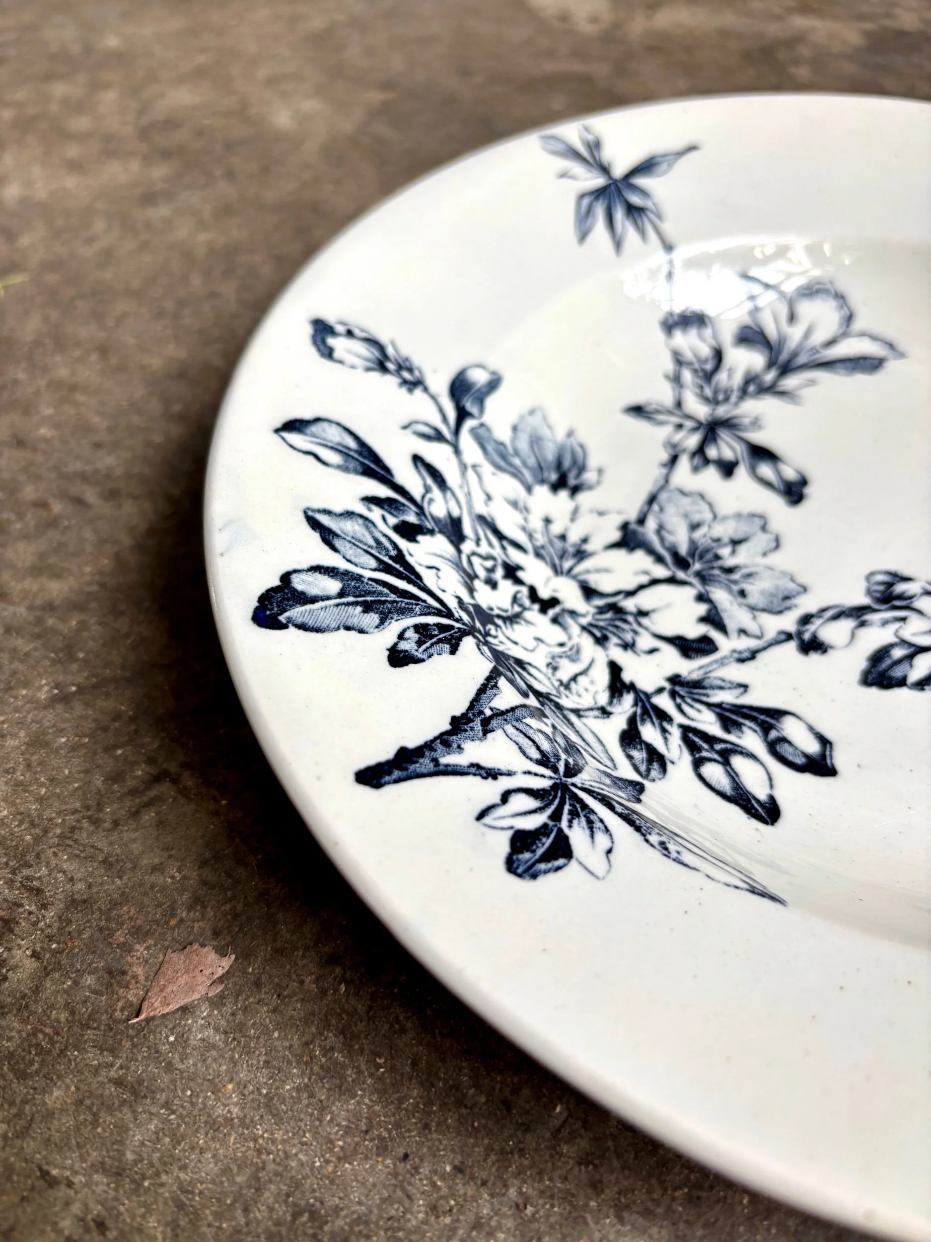 assiette-creuse-terre-de-fer-azalea-blanc-bleu-luneville-vaisselle-vintage-axs-design-paris-france