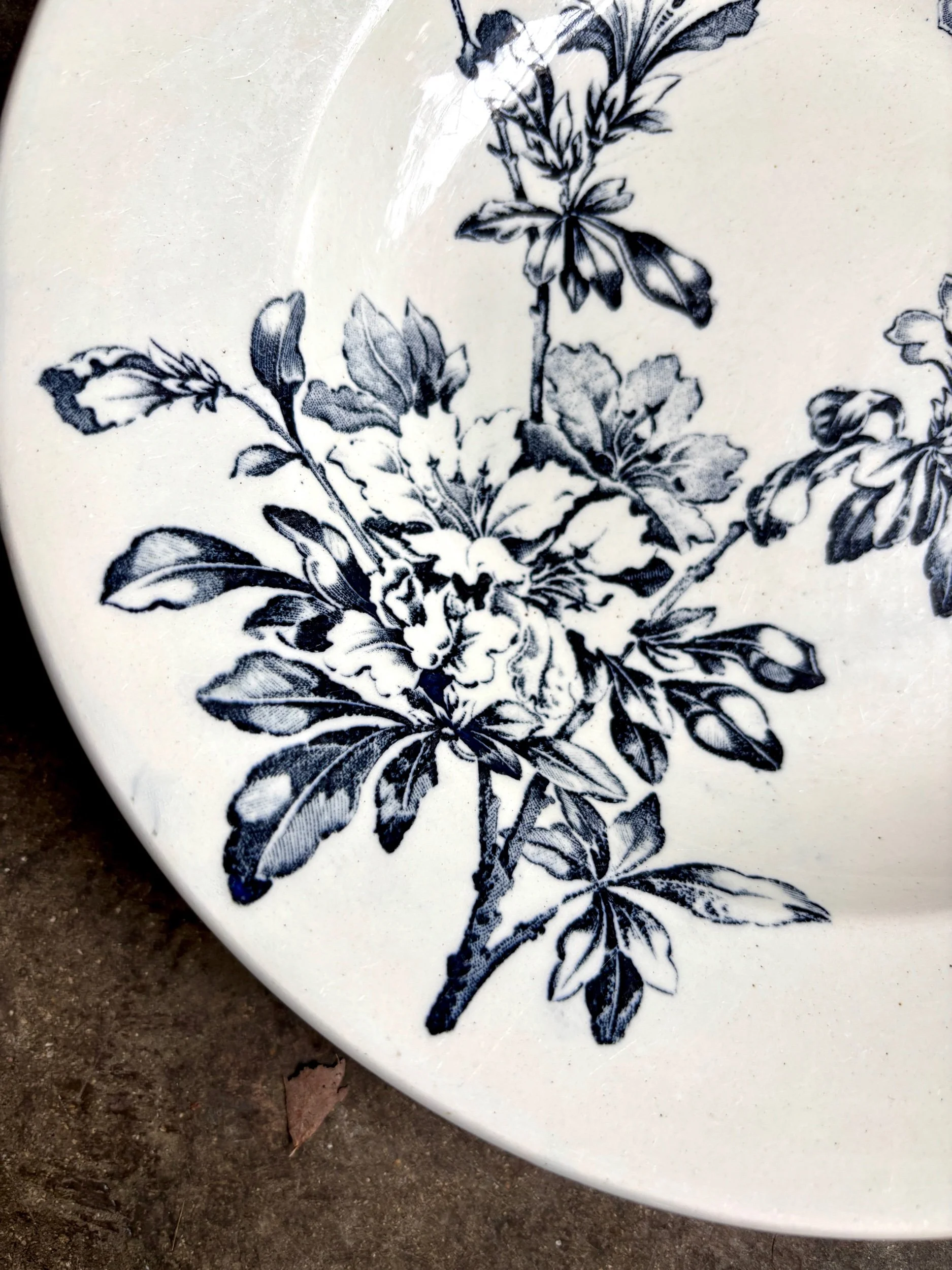 assiette-creuse-terre-de-fer-azalea-blanc-bleu-luneville-vaisselle-vintage-axs-design-paris-france