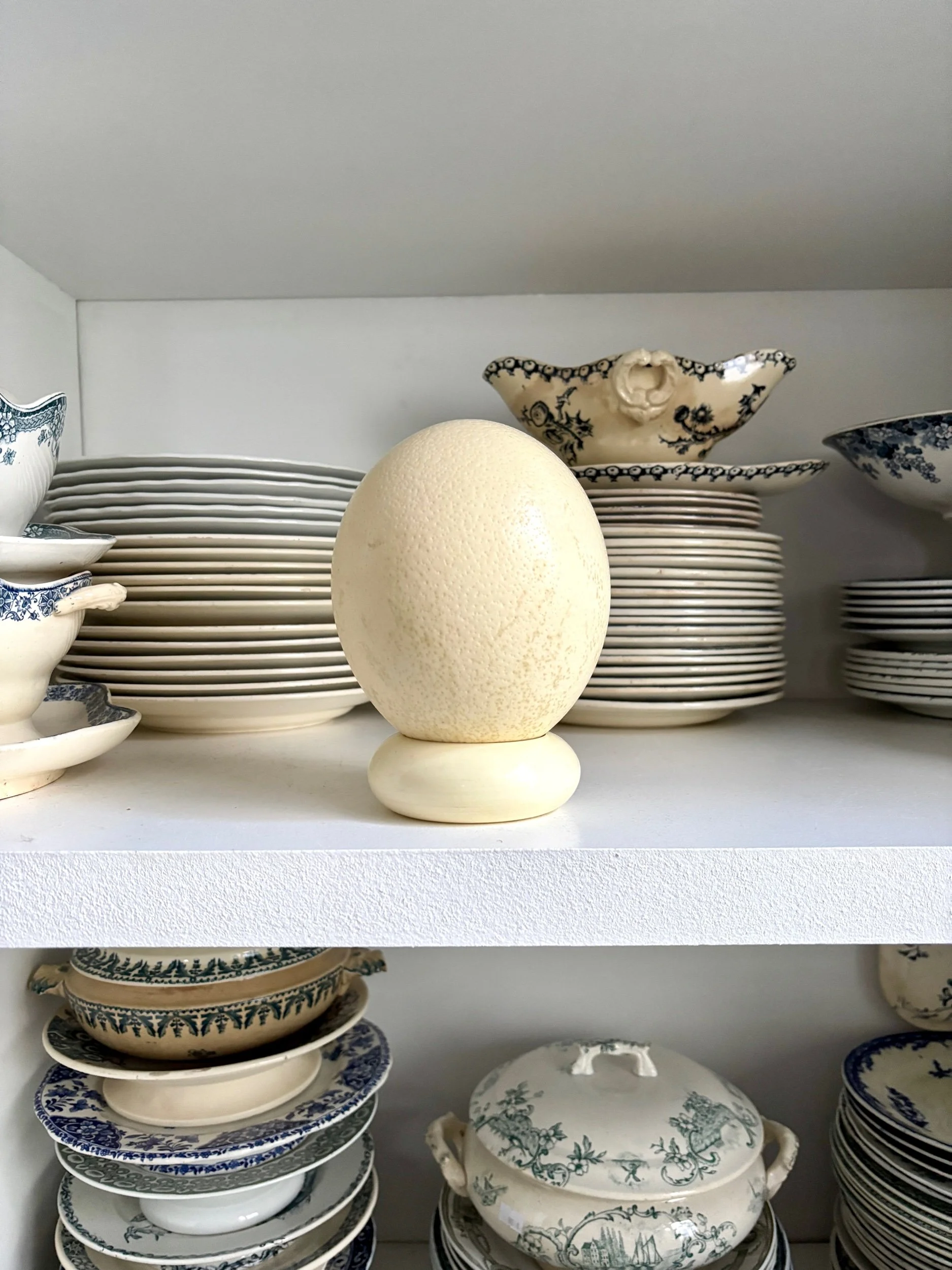 oeuf-2-autruche-beige-cabinet-curiosites-vintage-decoration-axs-design-paris-france