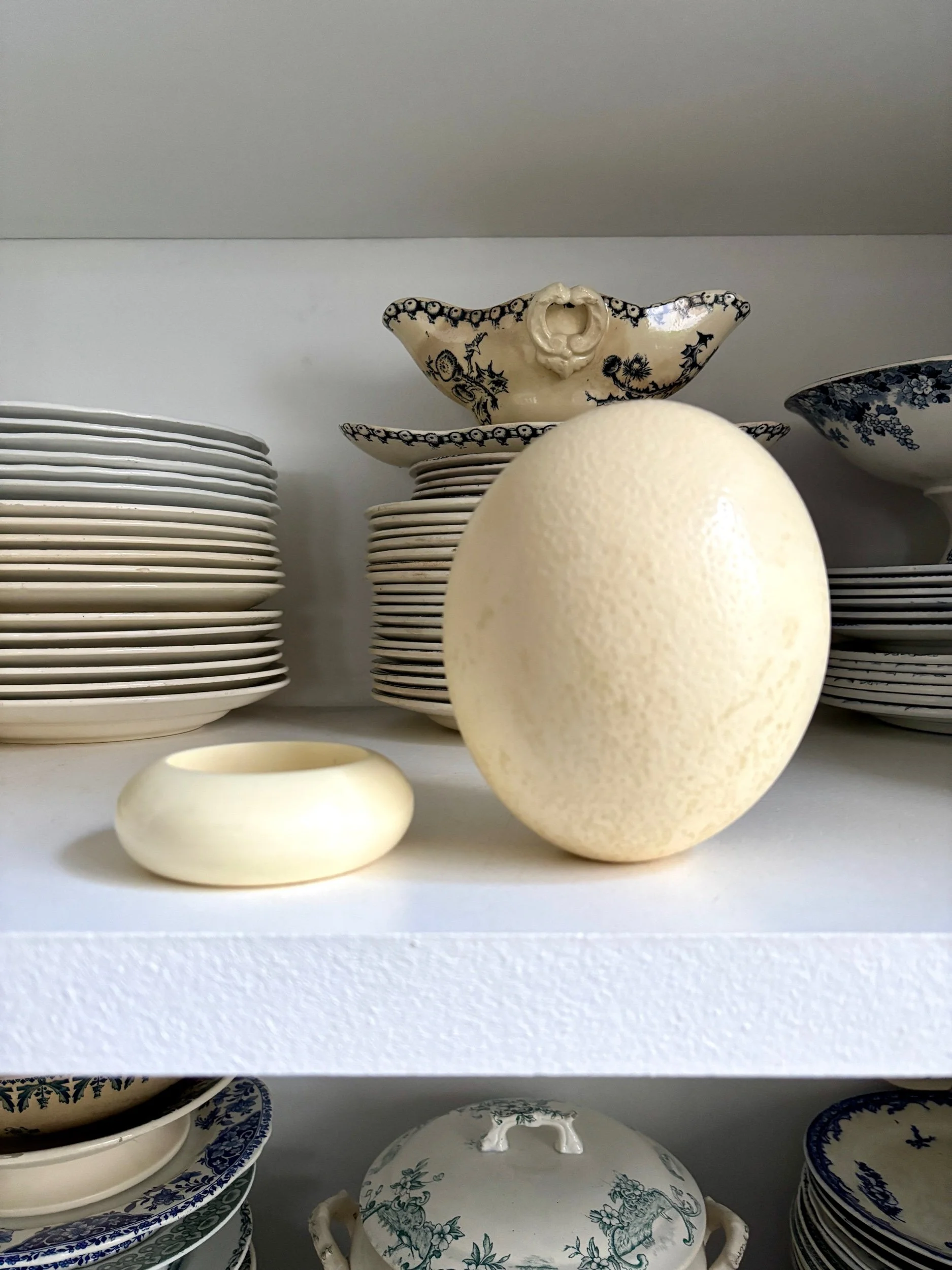 oeuf-2-autruche-beige-cabinet-curiosites-vintage-decoration-axs-design-paris-france
