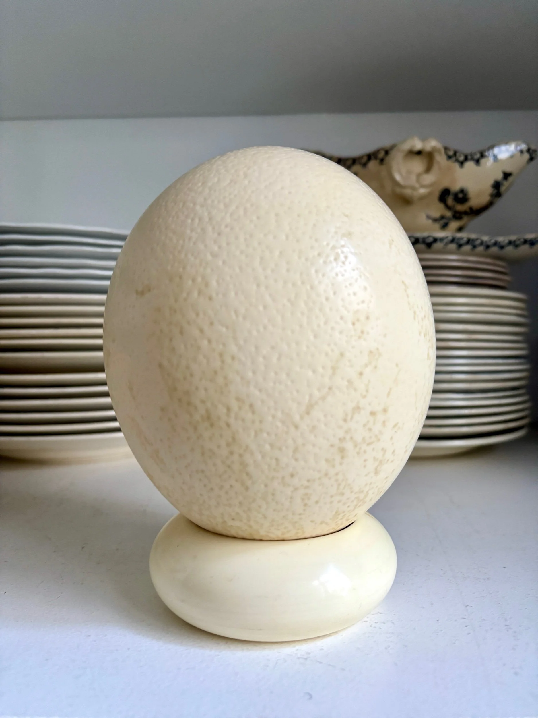 oeuf-2-autruche-beige-cabinet-curiosites-vintage-decoration-axs-design-paris-france