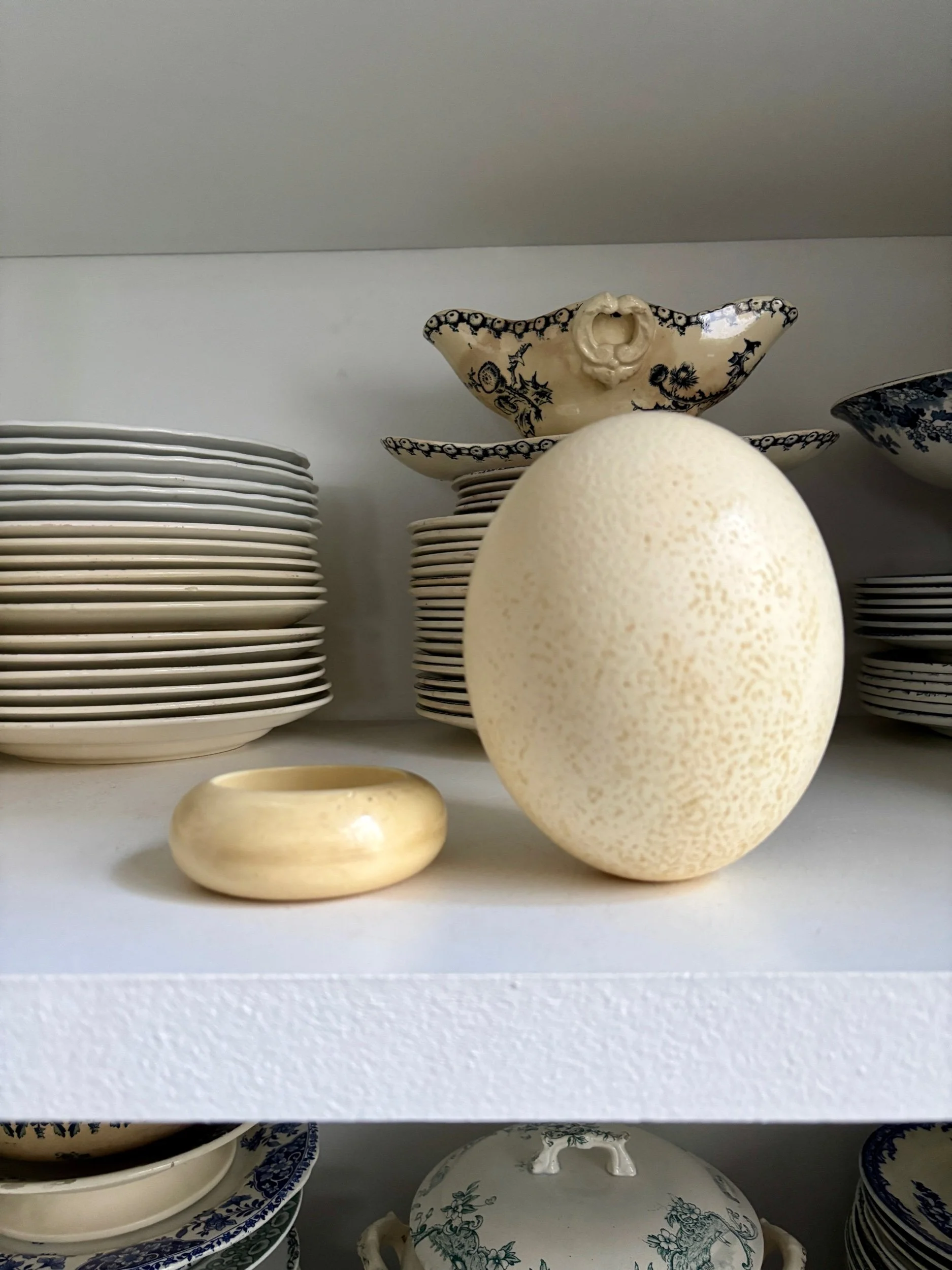 oeuf-3-autruche-beige-cabinet-curiosites-vintage-decoration-axs-design-paris-france