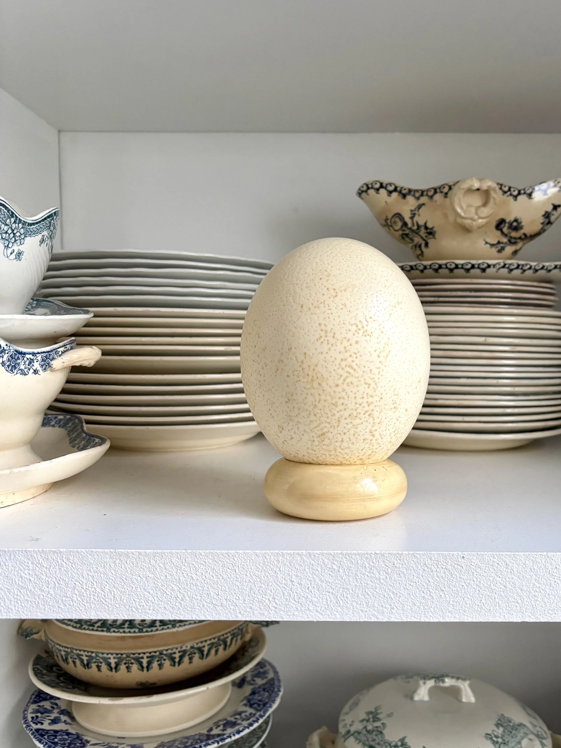 oeuf-3-autruche-beige-cabinet-curiosites-vintage-decoration-axs-design-paris-france