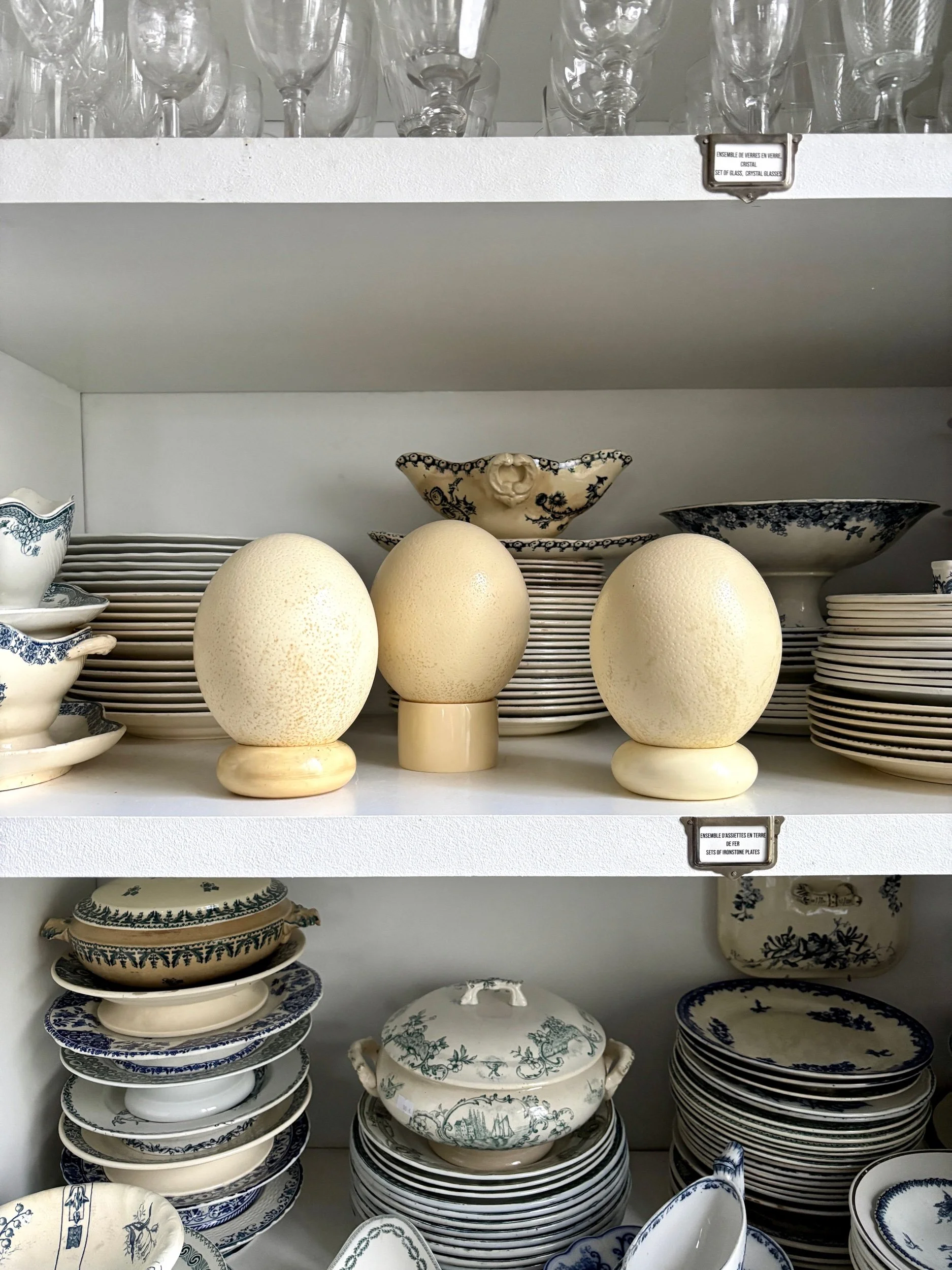 oeuf-3-autruche-beige-cabinet-curiosites-vintage-decoration-axs-design-paris-france