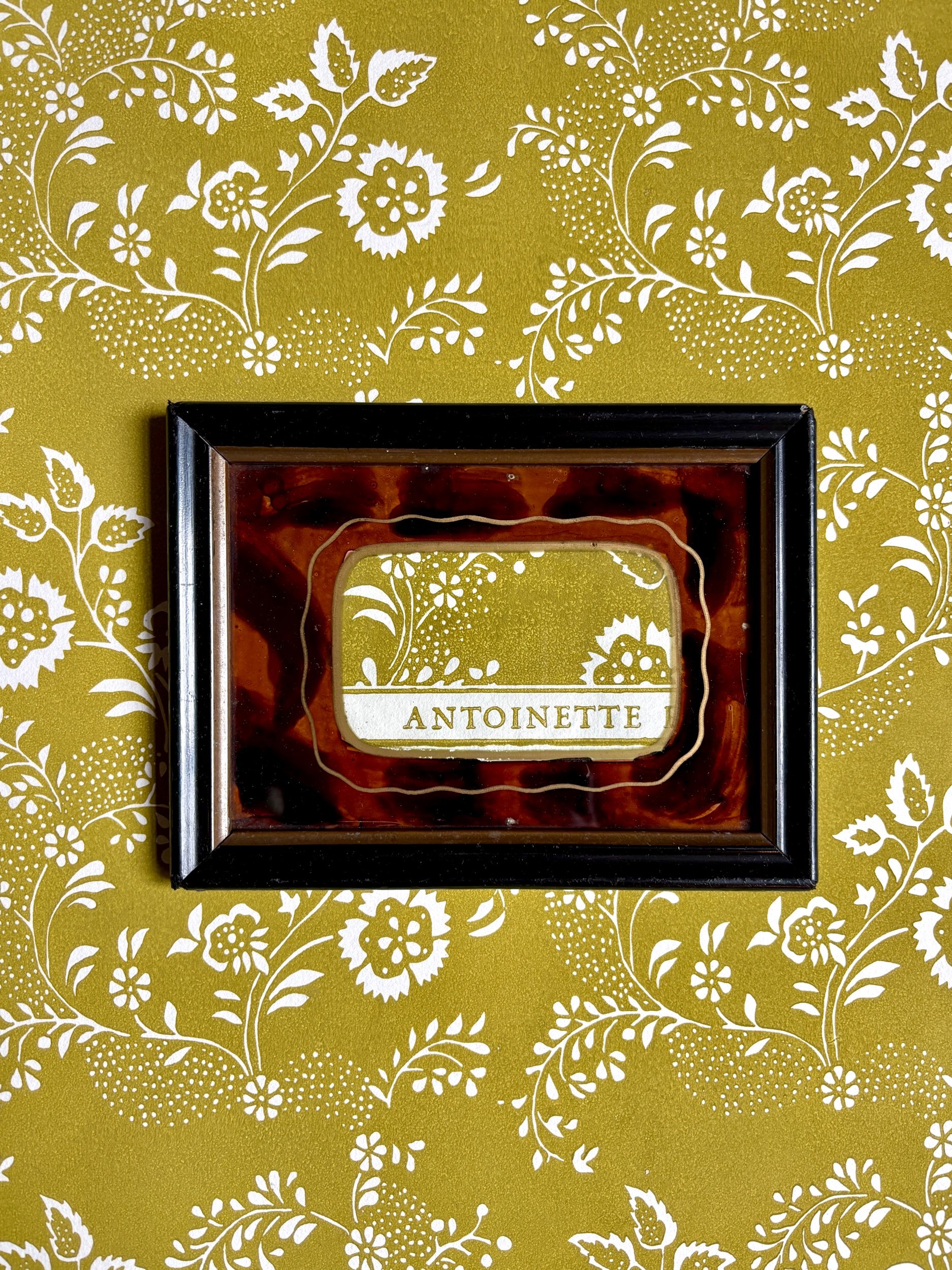 cadre-napoleon-iii-bois-noir-verre-marron-papier-dominote-antoinette-poisson-menuet-2-decoration-vintage-axs-design-paris-france