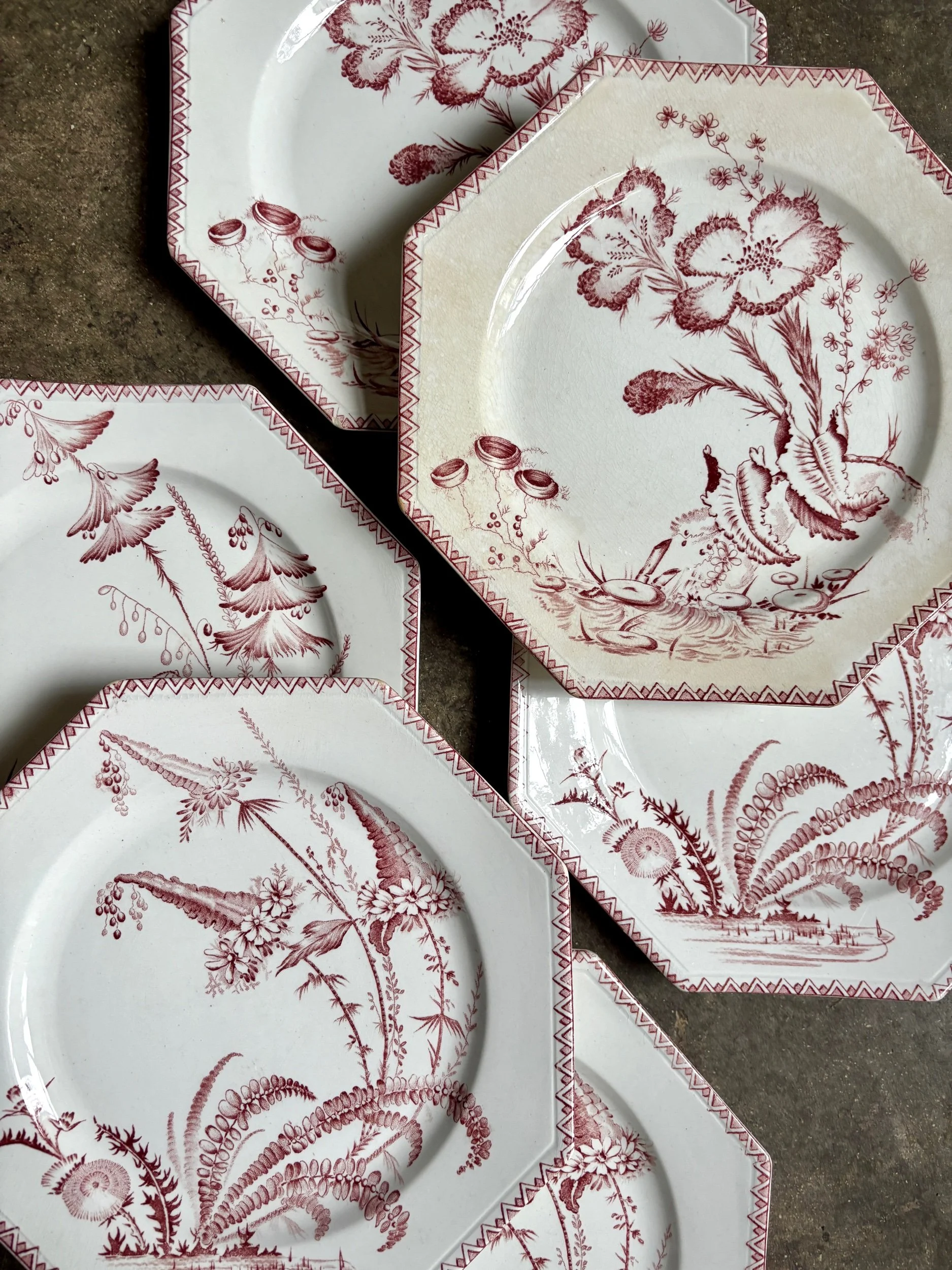 6-assiettes-plates-clairefontaine-indiana-terre-de-fer-rose-vaisselle-vintage-axs-design-paris-france