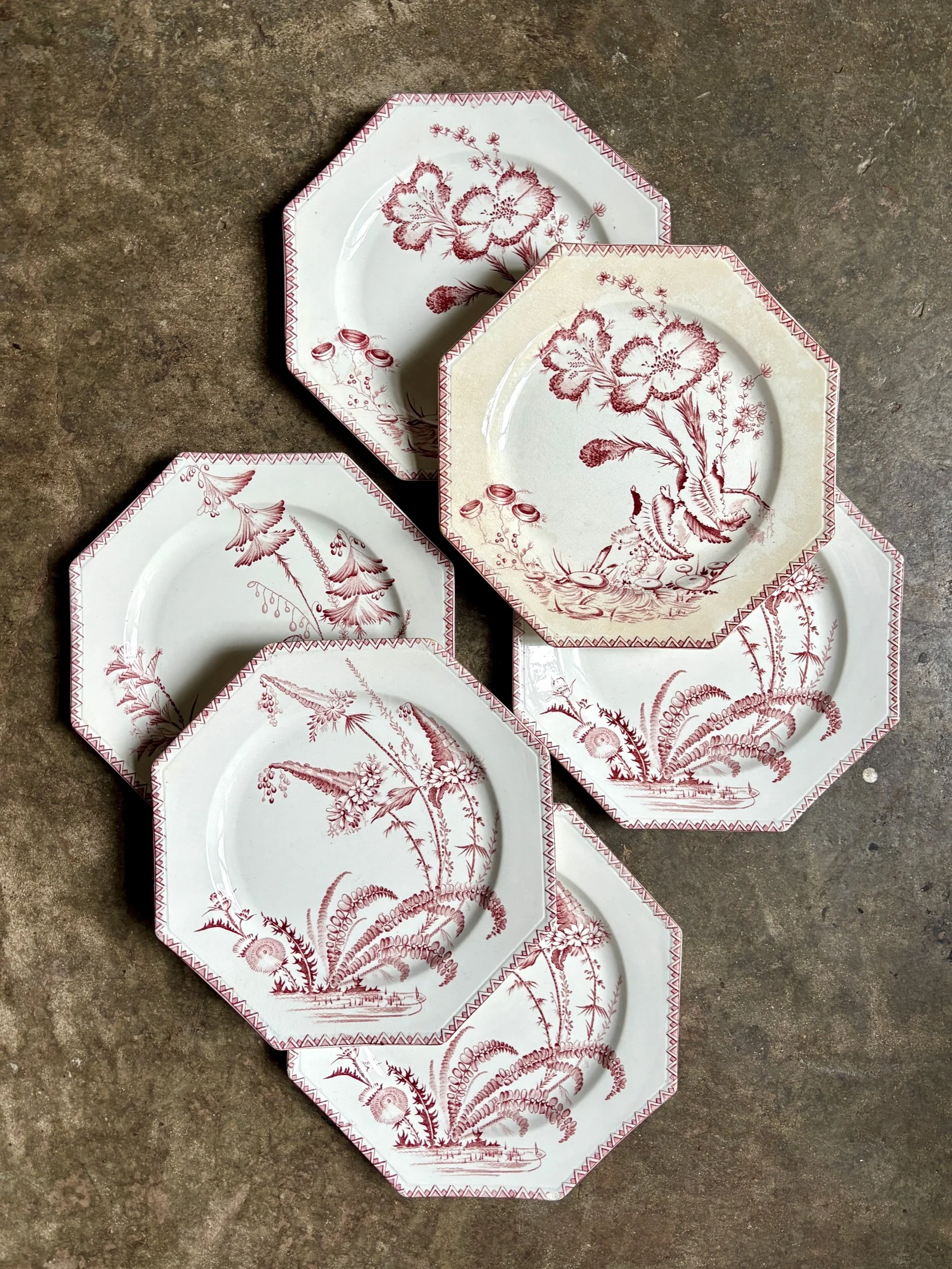 6-assiettes-plates-clairefontaine-indiana-terre-de-fer-rose-vaisselle-vintage-axs-design-paris-france