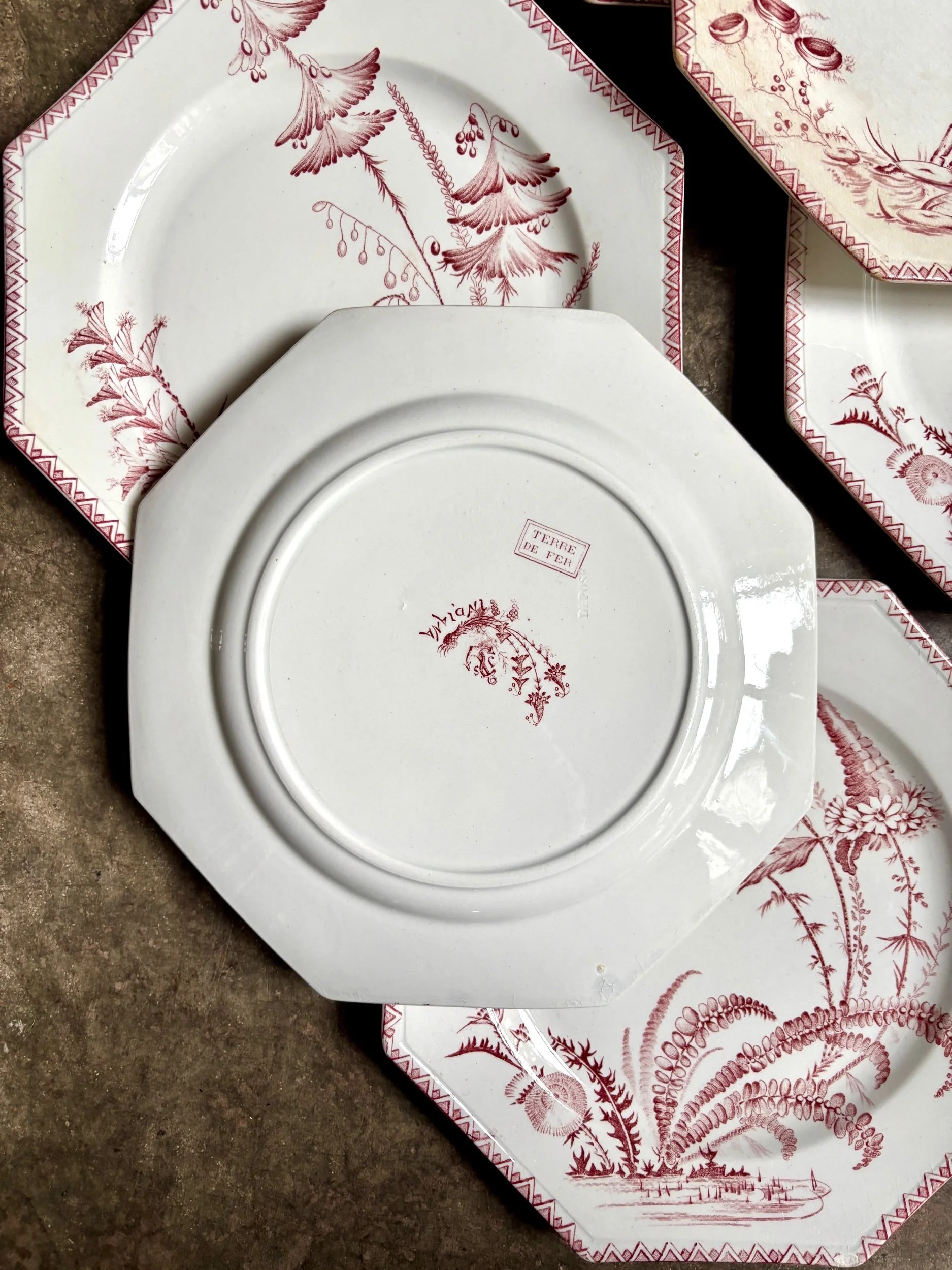 6-assiettes-plates-clairefontaine-indiana-terre-de-fer-rose-vaisselle-vintage-axs-design-paris-france