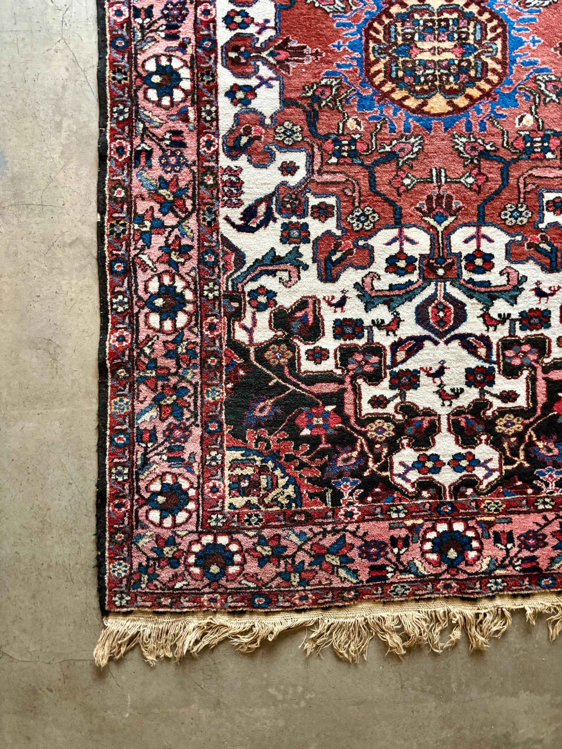 tapis-persan-laine-soie-rose-beige-noir-bleu-decoration-vintage-axs-design-paris-france