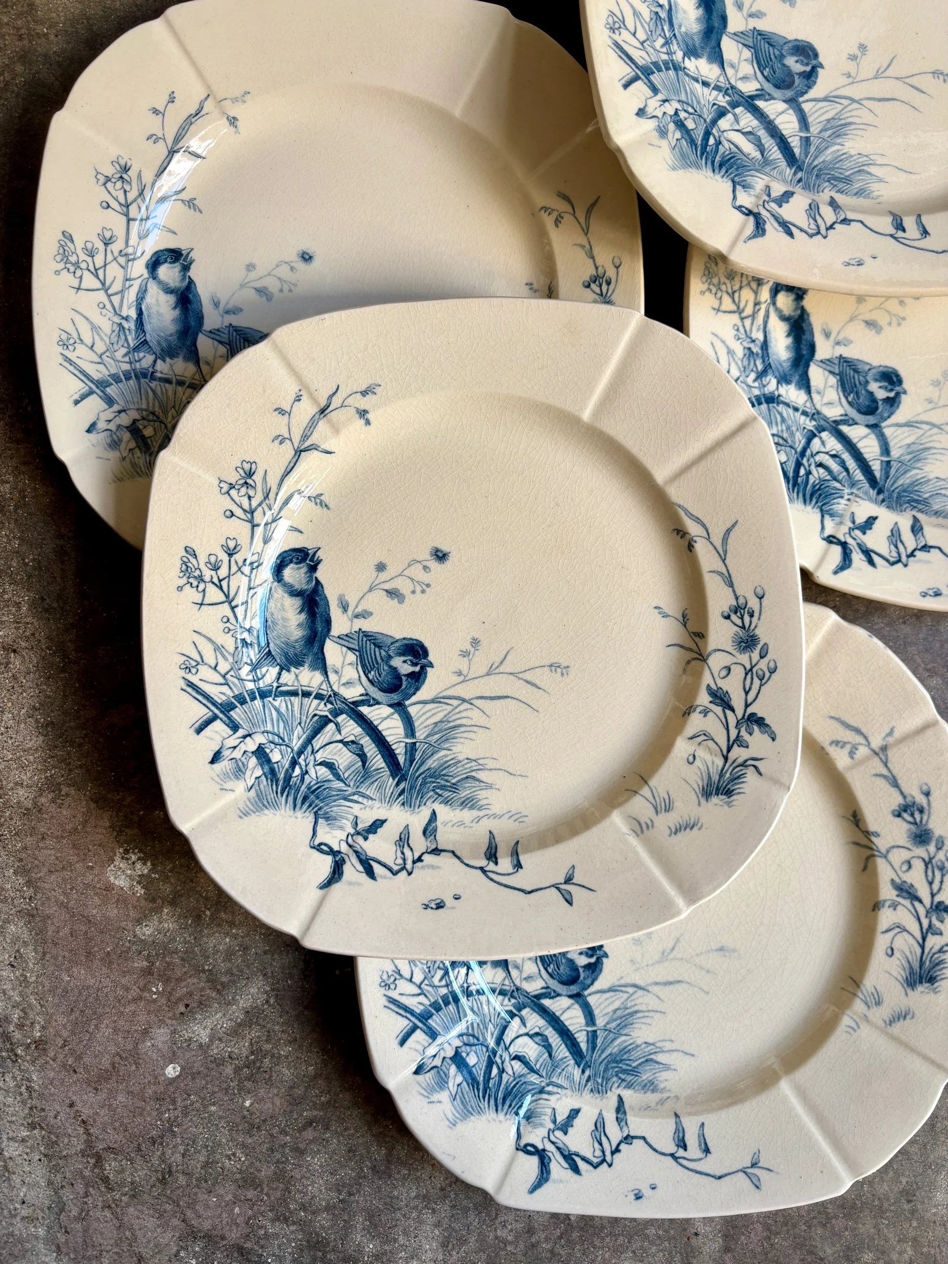 assiettes-dessert-gien-oiseaux-terre-fer-bleu-vaisselle-vintage-axs-design-paris-france-3