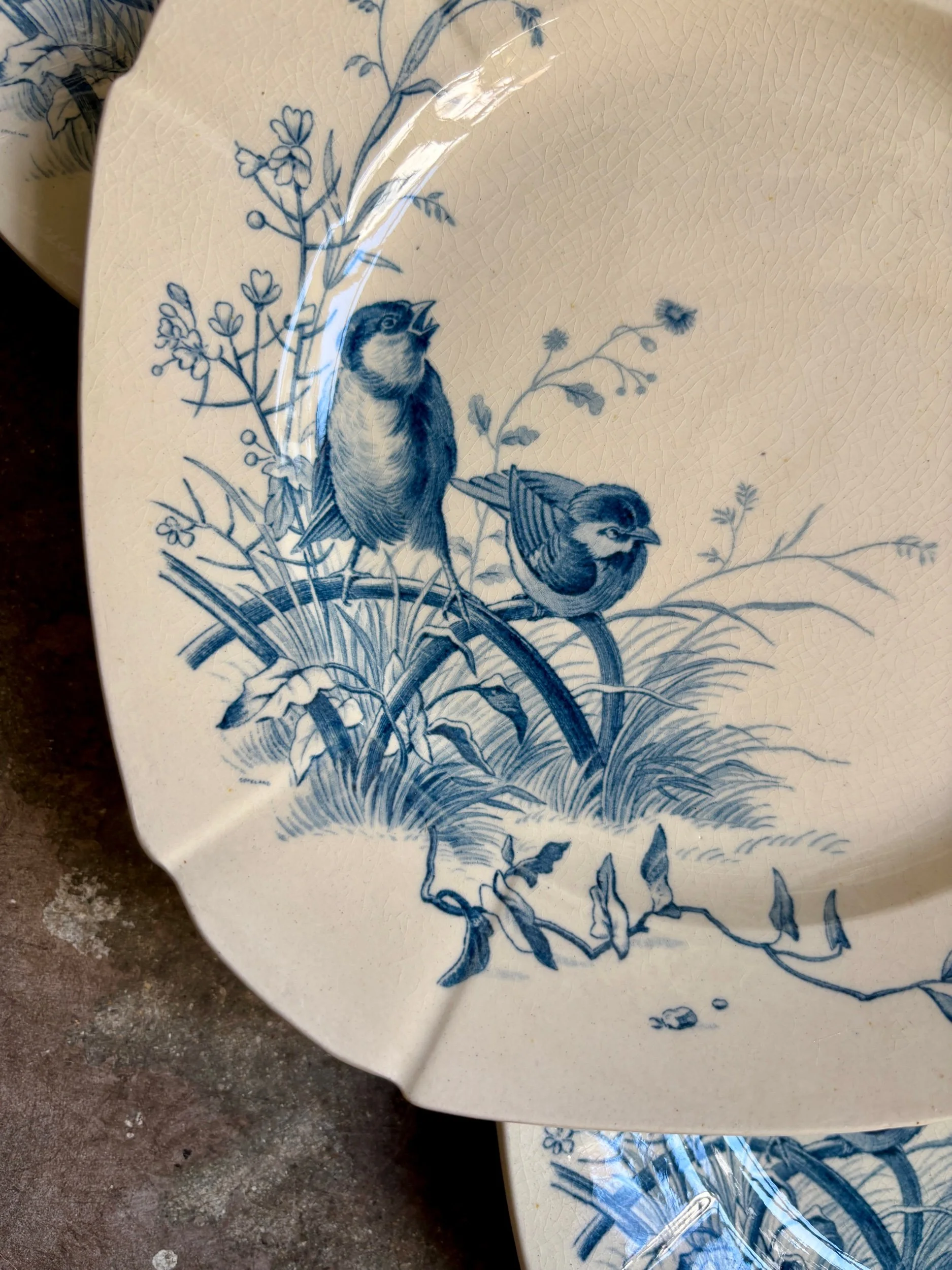 assiettes-dessert-gien-oiseaux-terre-fer-bleu-vaisselle-vintage-axs-design-paris-france-3
