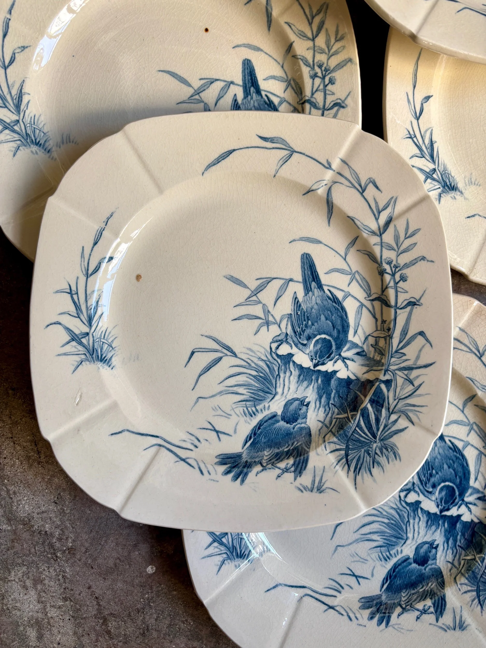 assiettes-dessert-gien-oiseaux-terre-fer-bleu-vaisselle-vintage-axs-design-paris-france-2