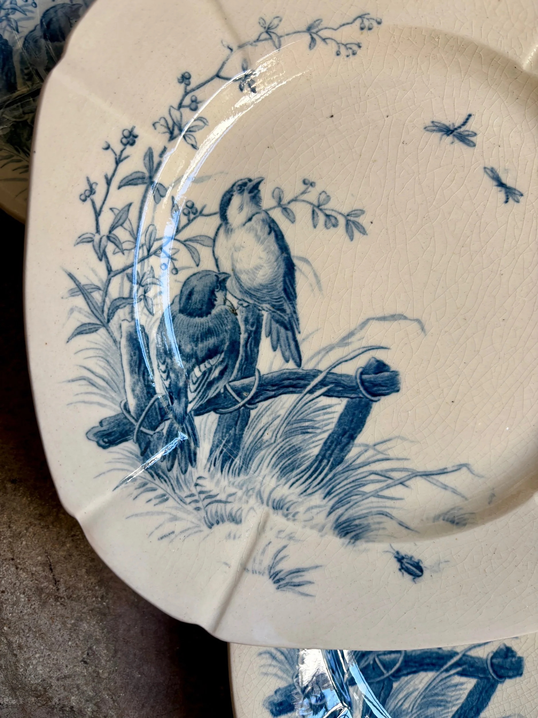 assiettes-dessert-gien-oiseaux-terre-fer-bleu-vaisselle-vintage-axs-design-paris-france-1