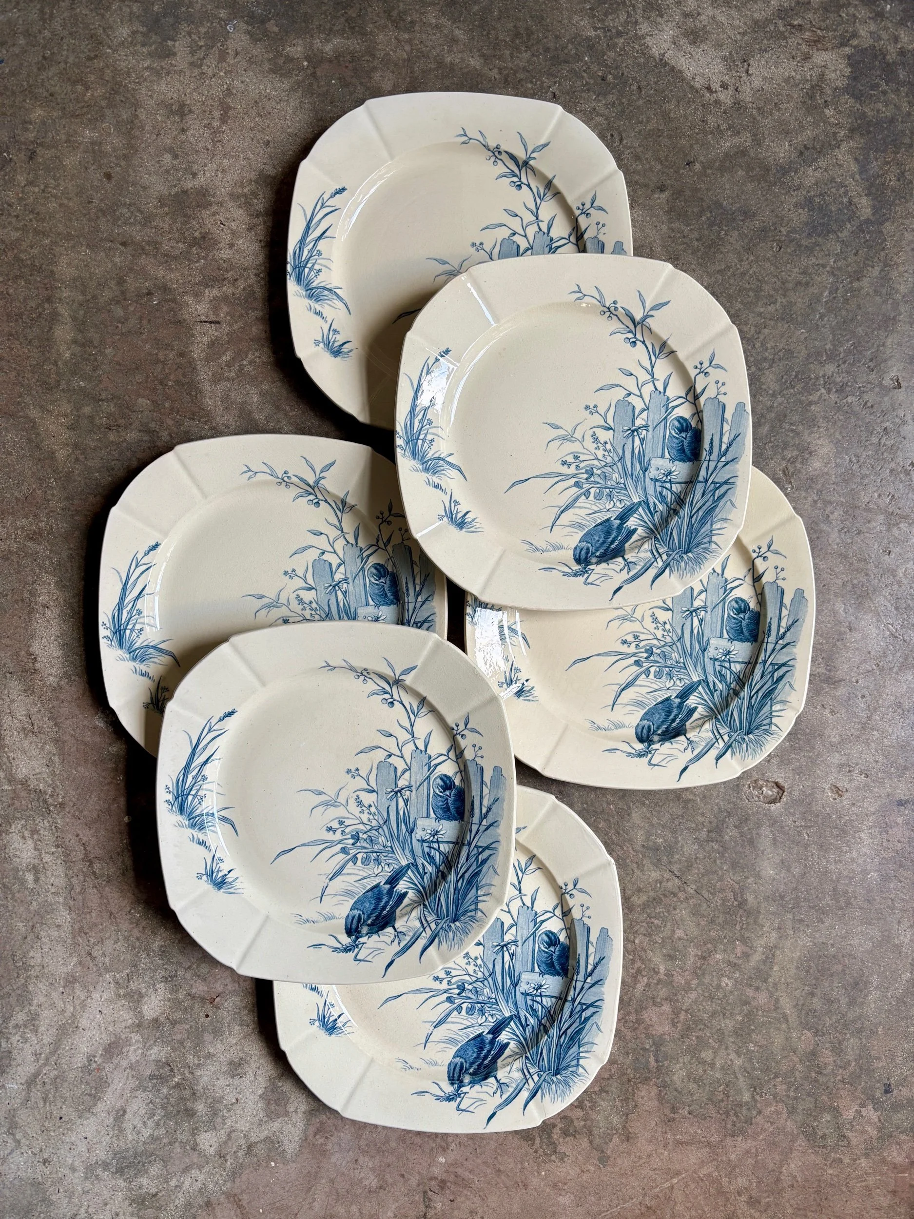 assiettes-plates-gien-oiseaux-terre-fer-bvleu-vaisselle-vintage-axs-design-paris-france-3