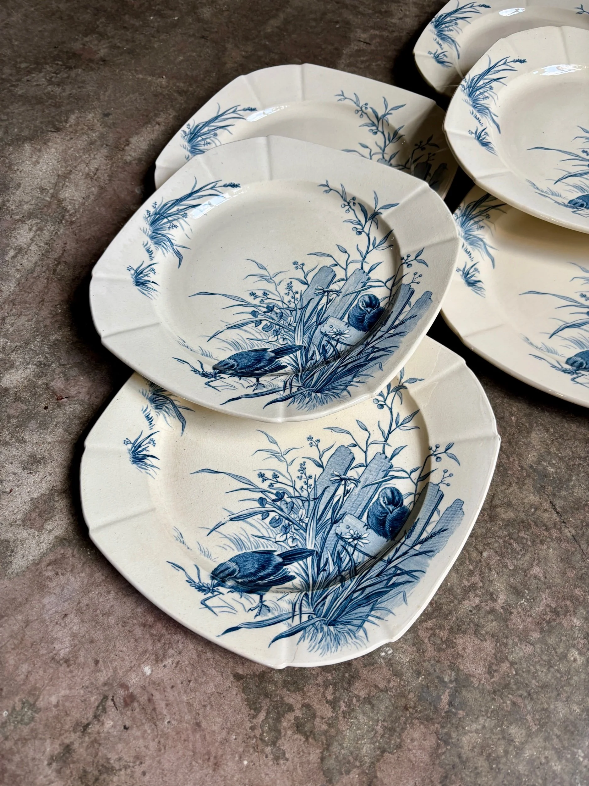 assiettes-plates-gien-oiseaux-terre-fer-bvleu-vaisselle-vintage-axs-design-paris-france-3