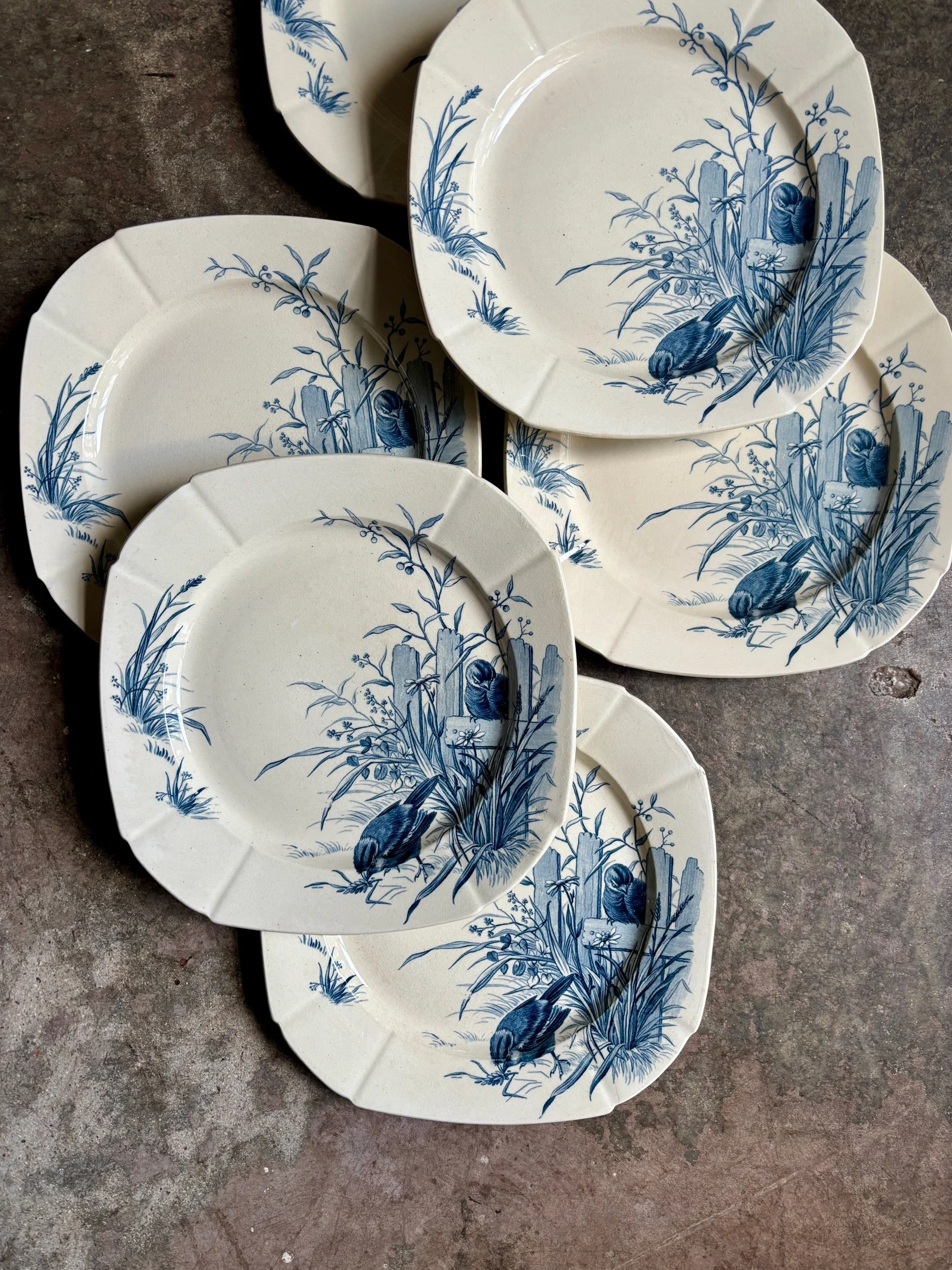 6 assiettes plates Gien en terre de fer bleue, service "Oiseaux" vers 1870 n°3