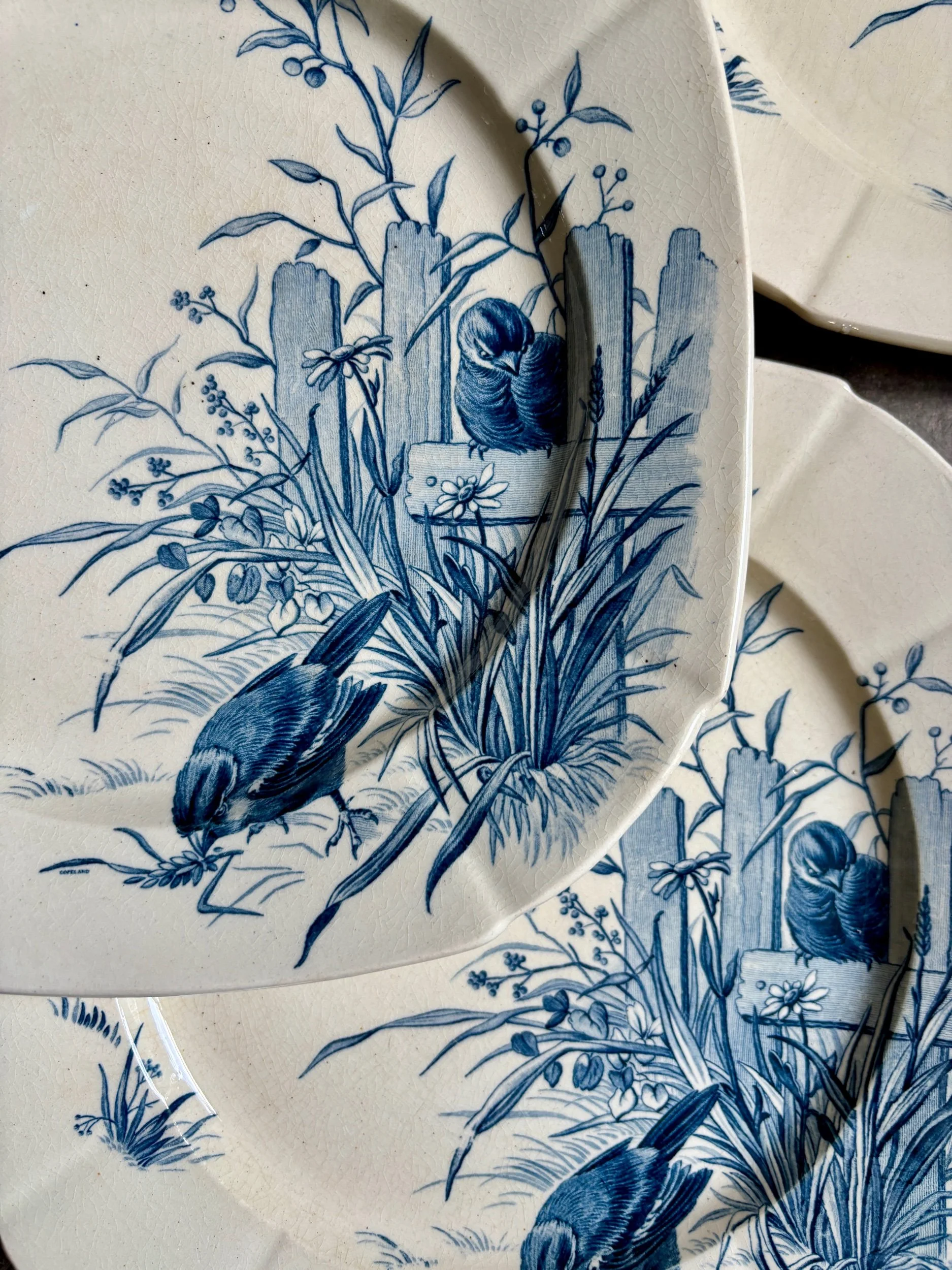 assiettes-plates-gien-oiseaux-terre-fer-bvleu-vaisselle-vintage-axs-design-paris-france-3