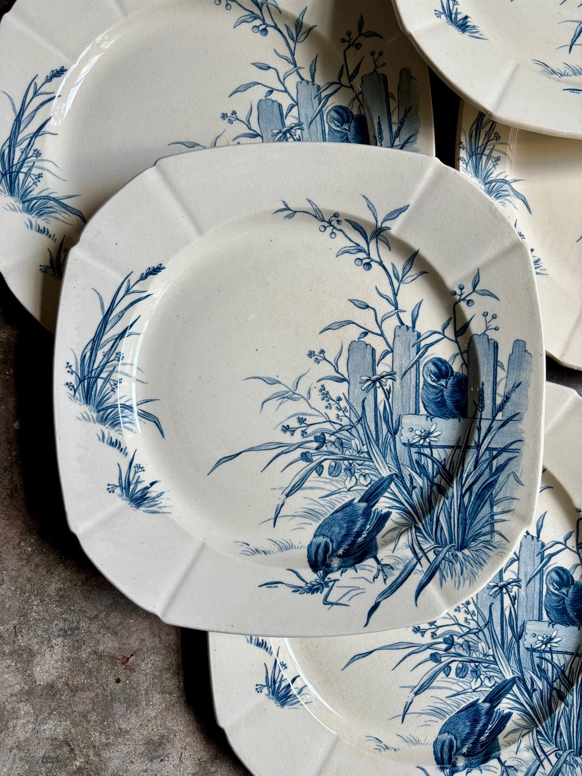 assiettes-plates-gien-oiseaux-terre-fer-bvleu-vaisselle-vintage-axs-design-paris-france-3