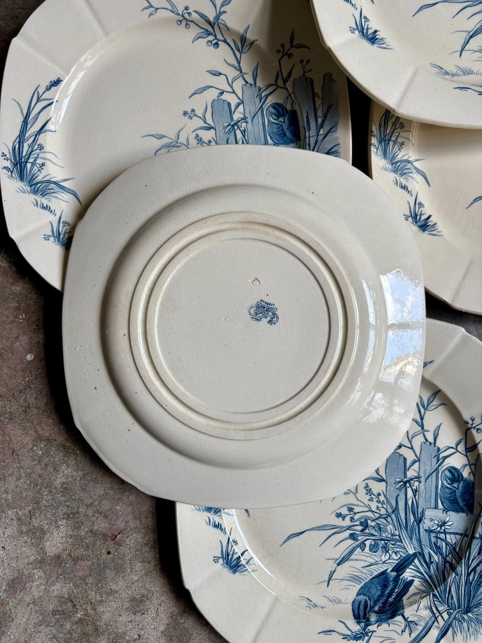 assiettes-plates-gien-oiseaux-terre-fer-bvleu-vaisselle-vintage-axs-design-paris-france-3