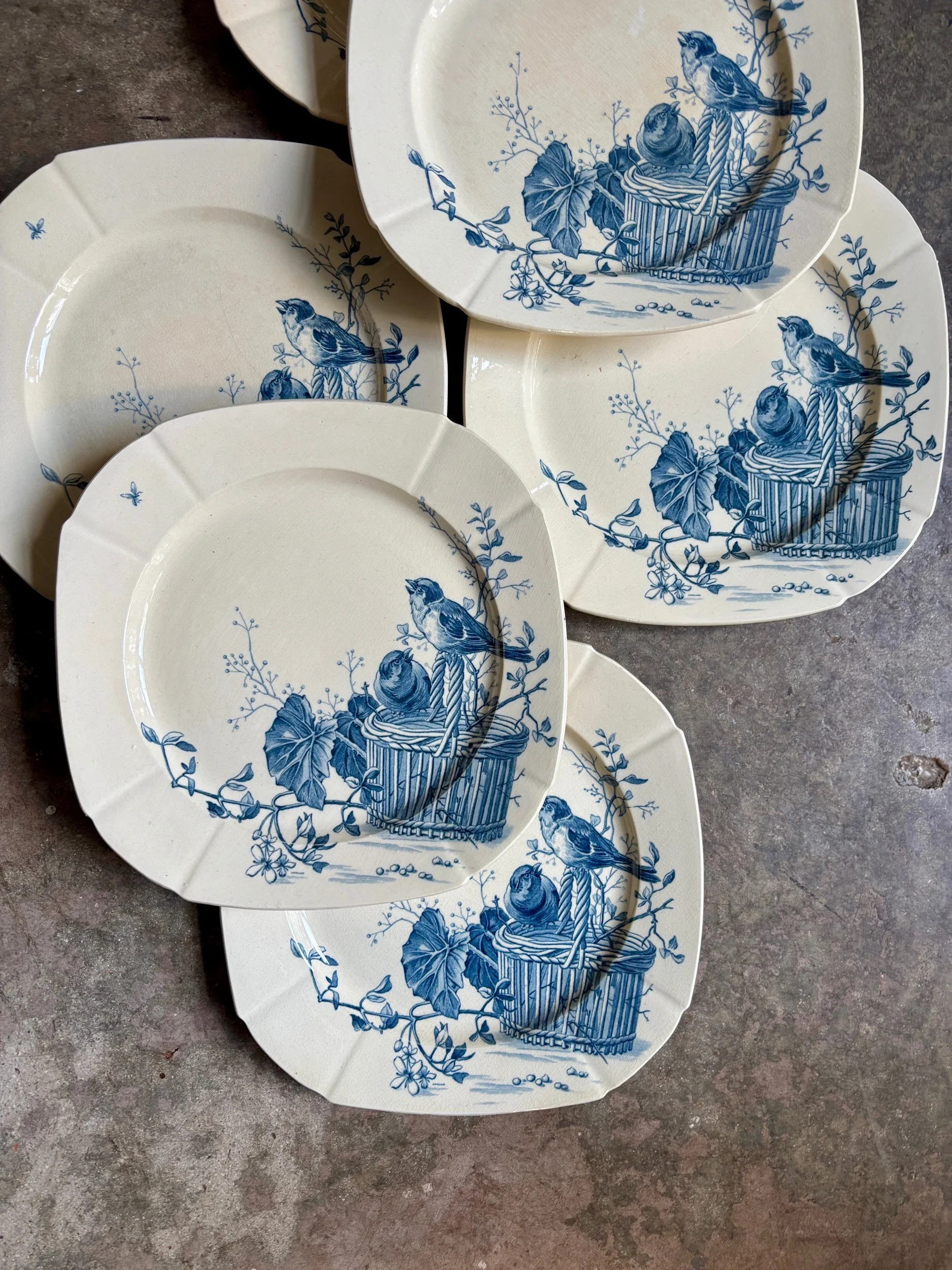 assiettes-plates-gien-oiseaux-terre-fer-bvleu-vaisselle-vintage-axs-design-paris-france-2