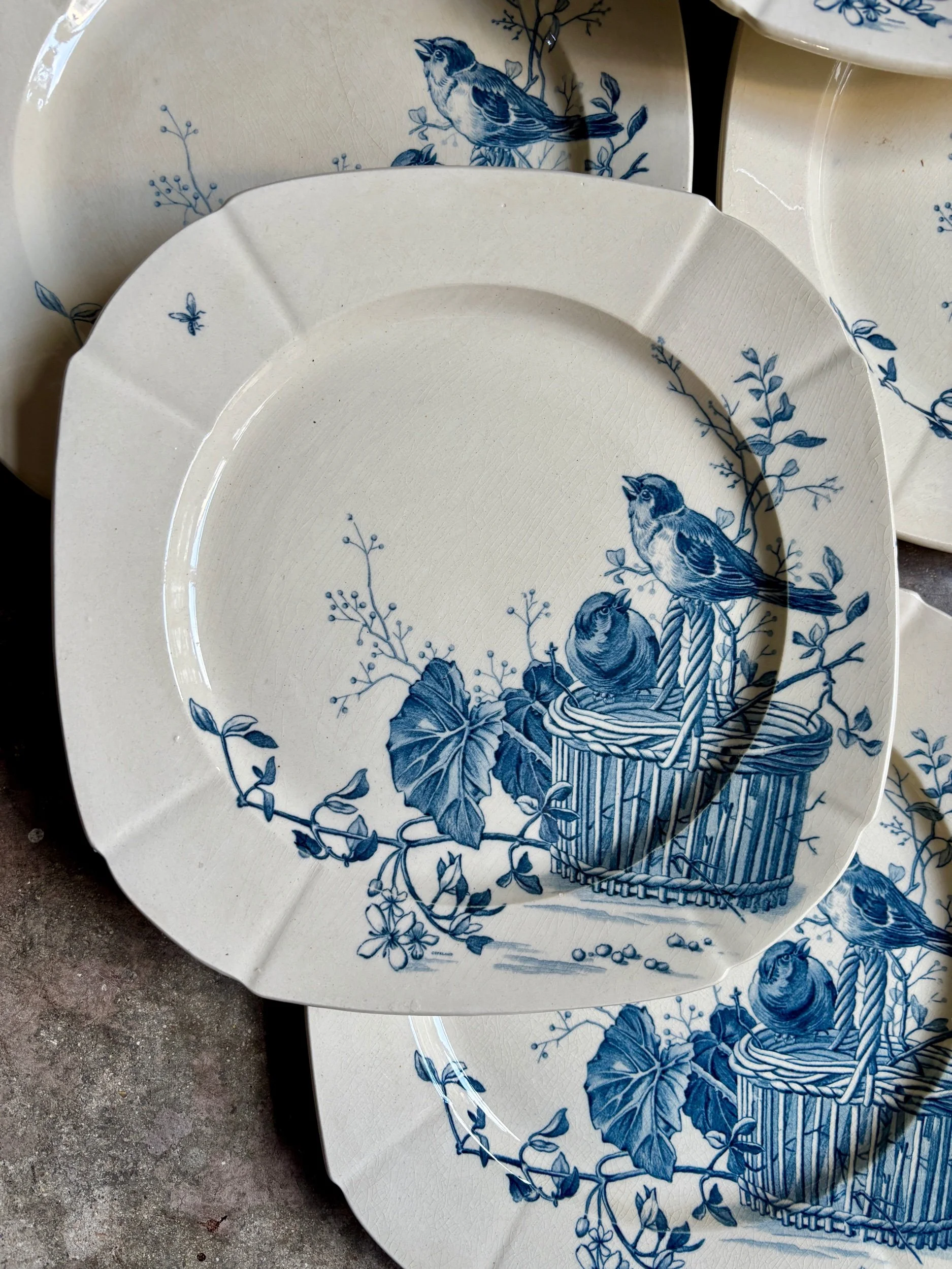 6 assiettes plates Gien en terre de fer bleue, service "Oiseaux" vers 1870 n°2