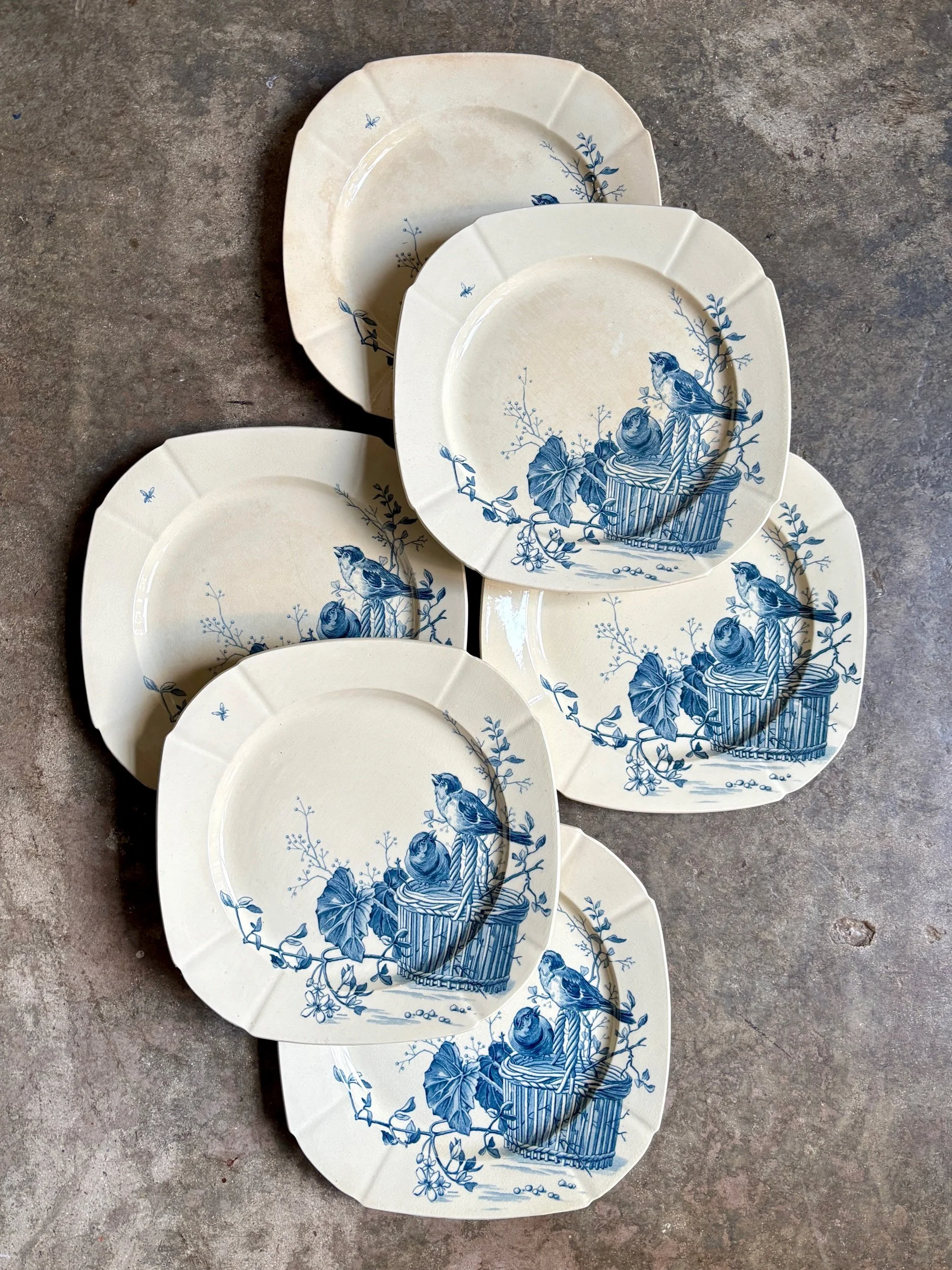 assiettes-plates-gien-oiseaux-terre-fer-bvleu-vaisselle-vintage-axs-design-paris-france-2