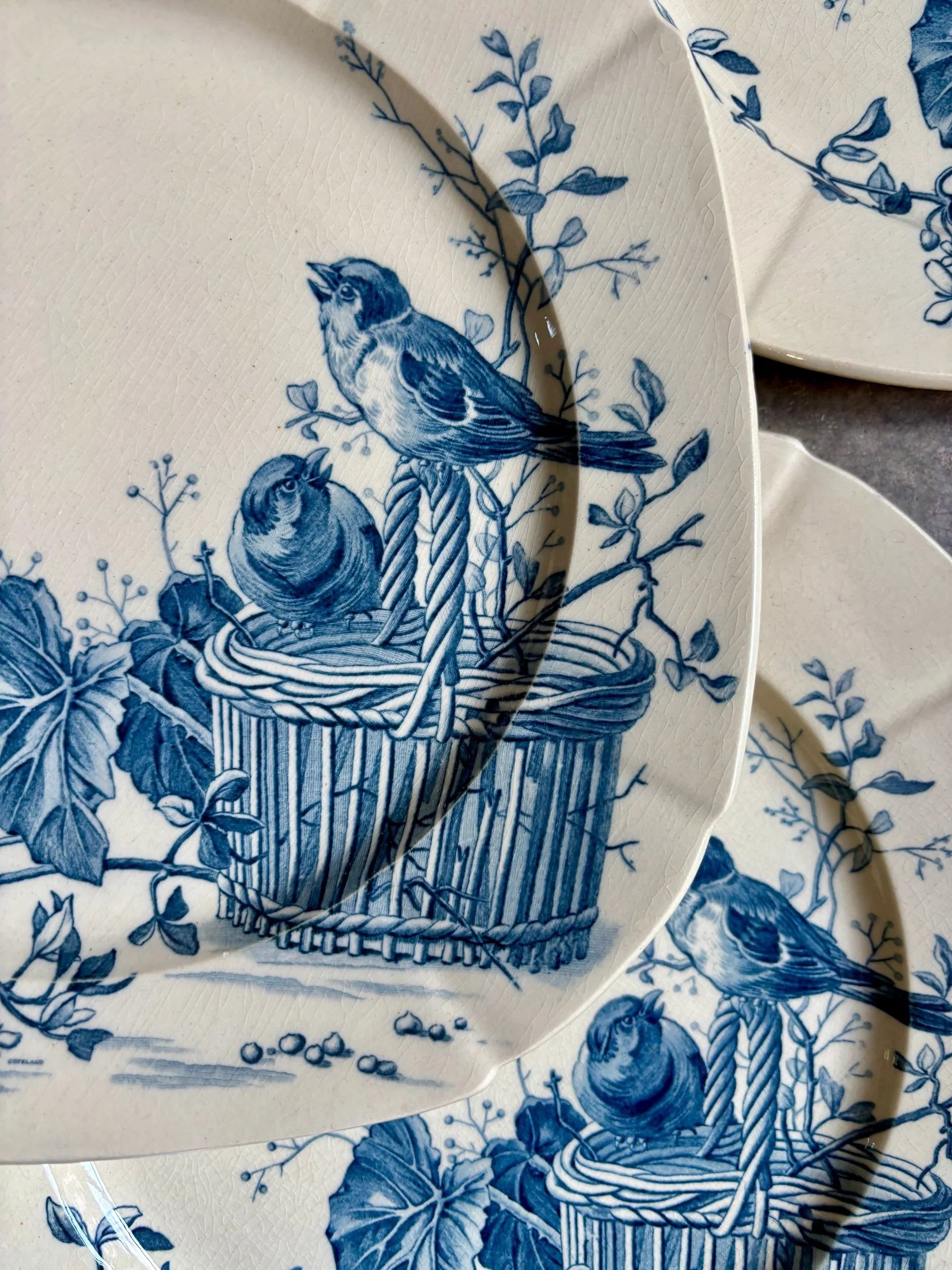 assiettes-plates-gien-oiseaux-terre-fer-bvleu-vaisselle-vintage-axs-design-paris-france-2