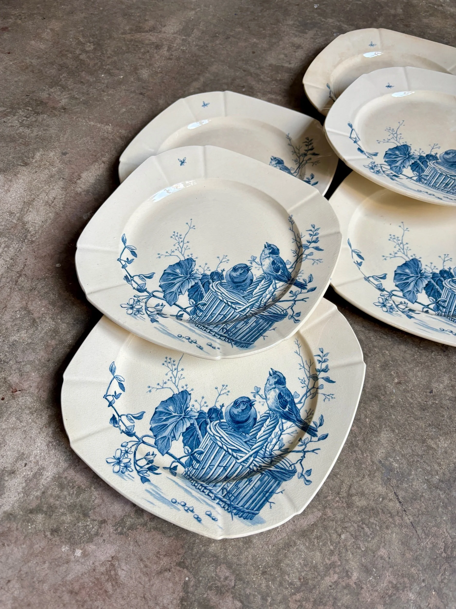 assiettes-plates-gien-oiseaux-terre-fer-bvleu-vaisselle-vintage-axs-design-paris-france-2