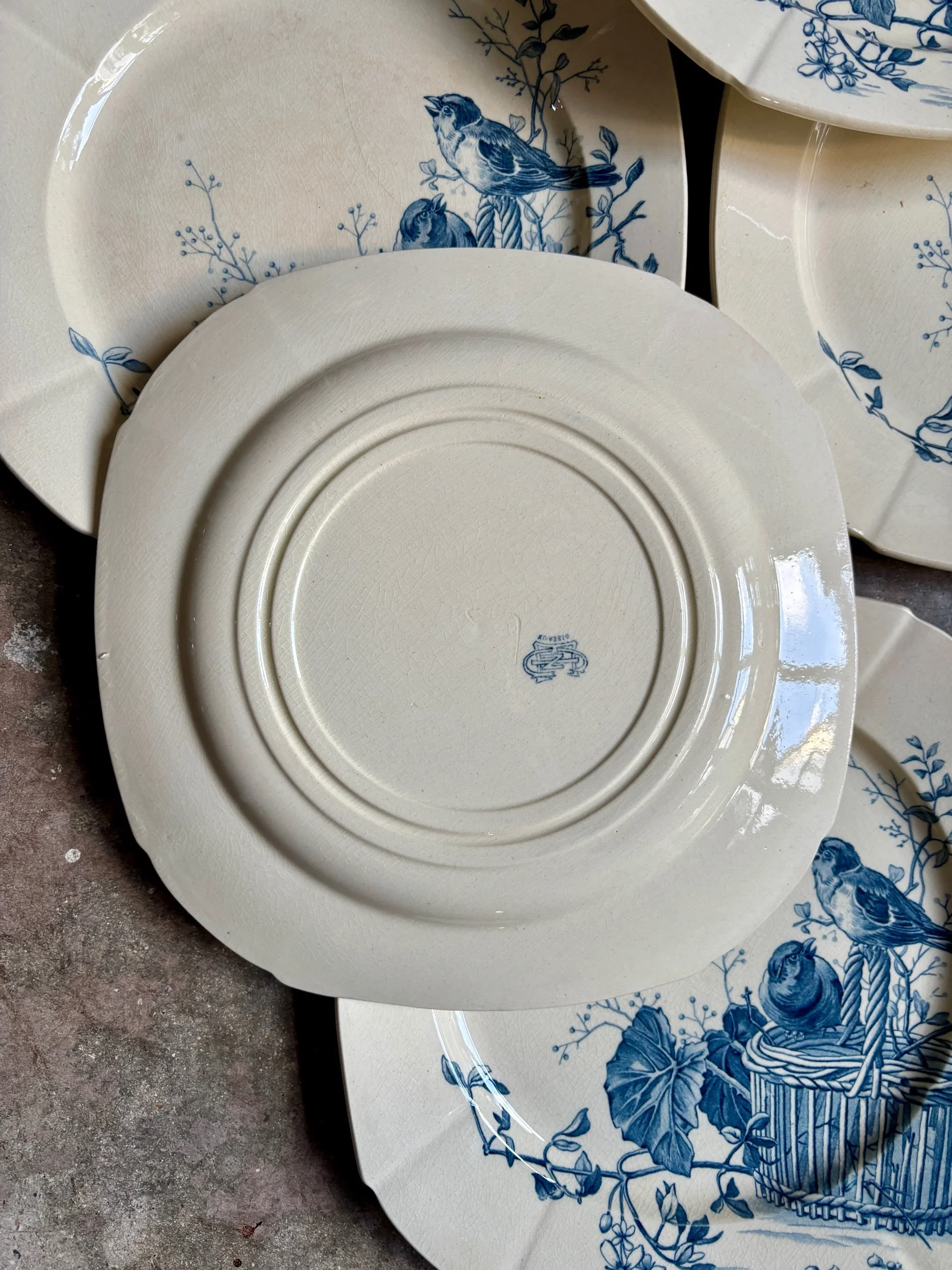 assiettes-plates-gien-oiseaux-terre-fer-bvleu-vaisselle-vintage-axs-design-paris-france-2